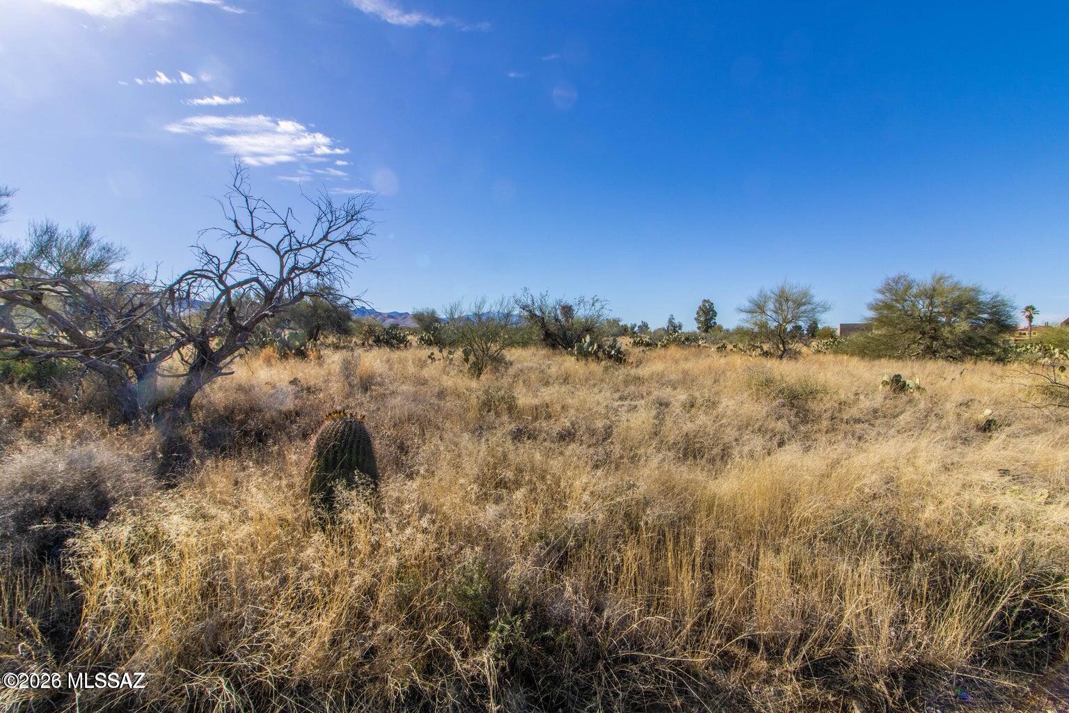 New Tucson Unit NO. 4 (1-203) - Land