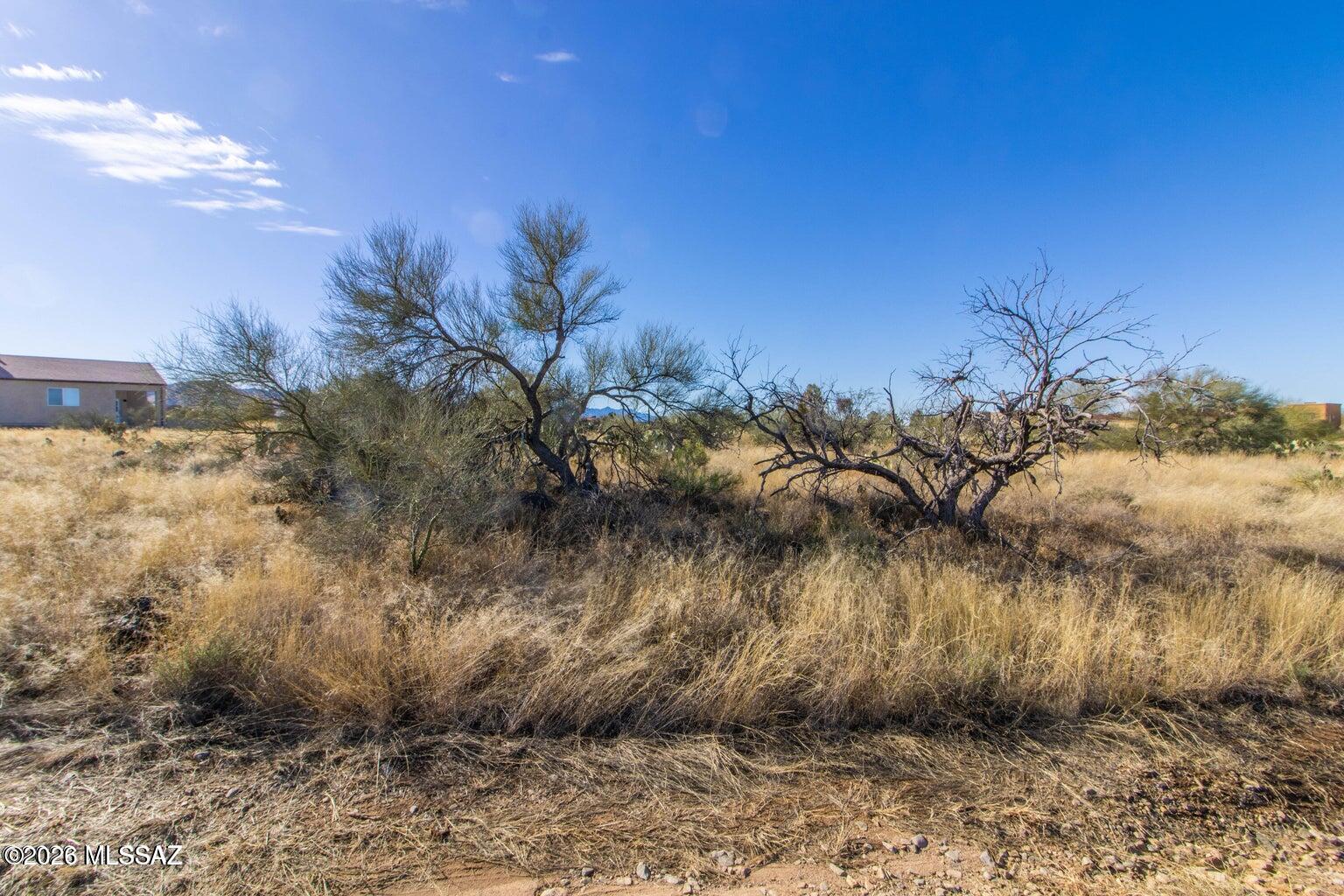 New Tucson Unit NO. 4 (1-203) - Land