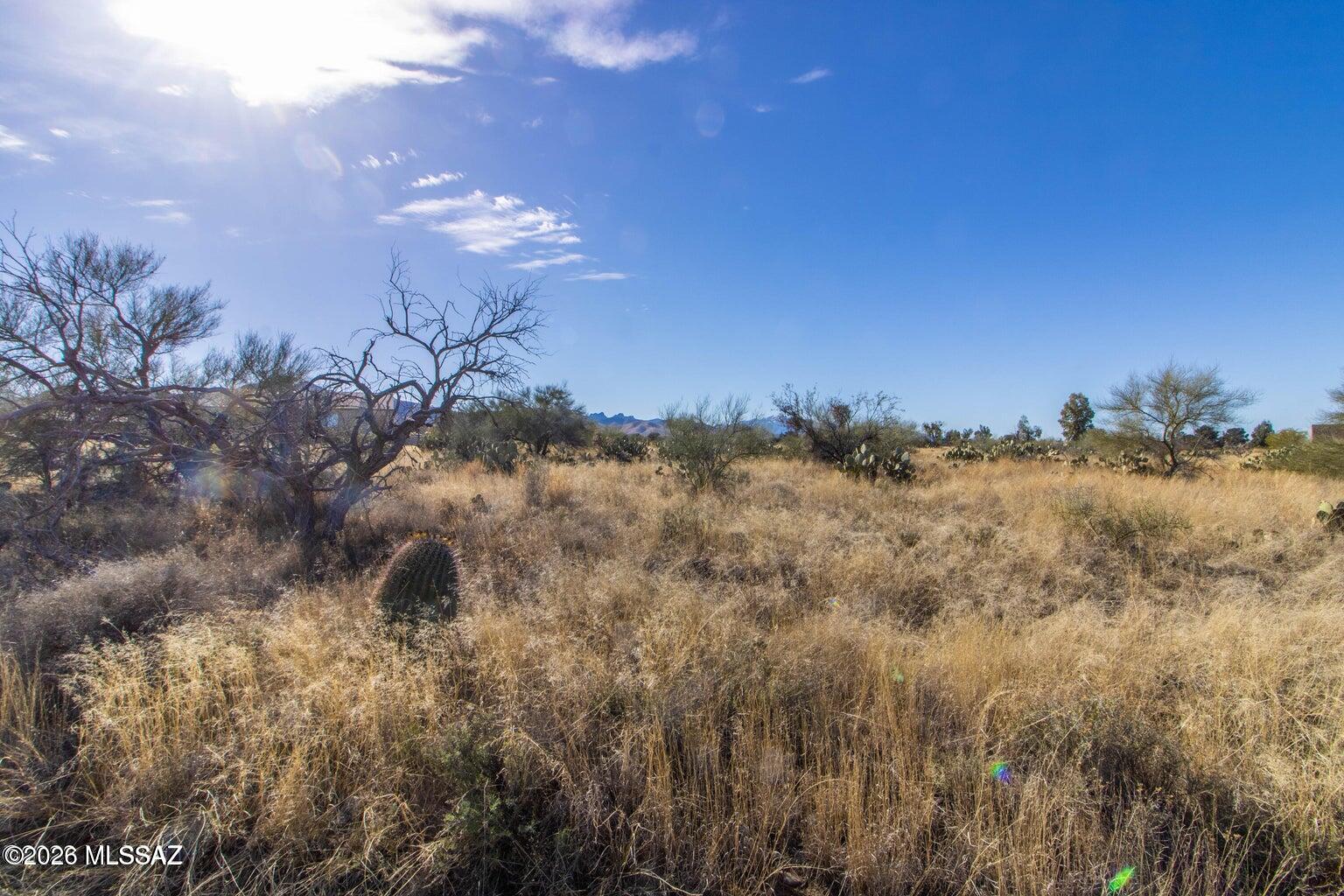 New Tucson Unit NO. 4 (1-203) - Land