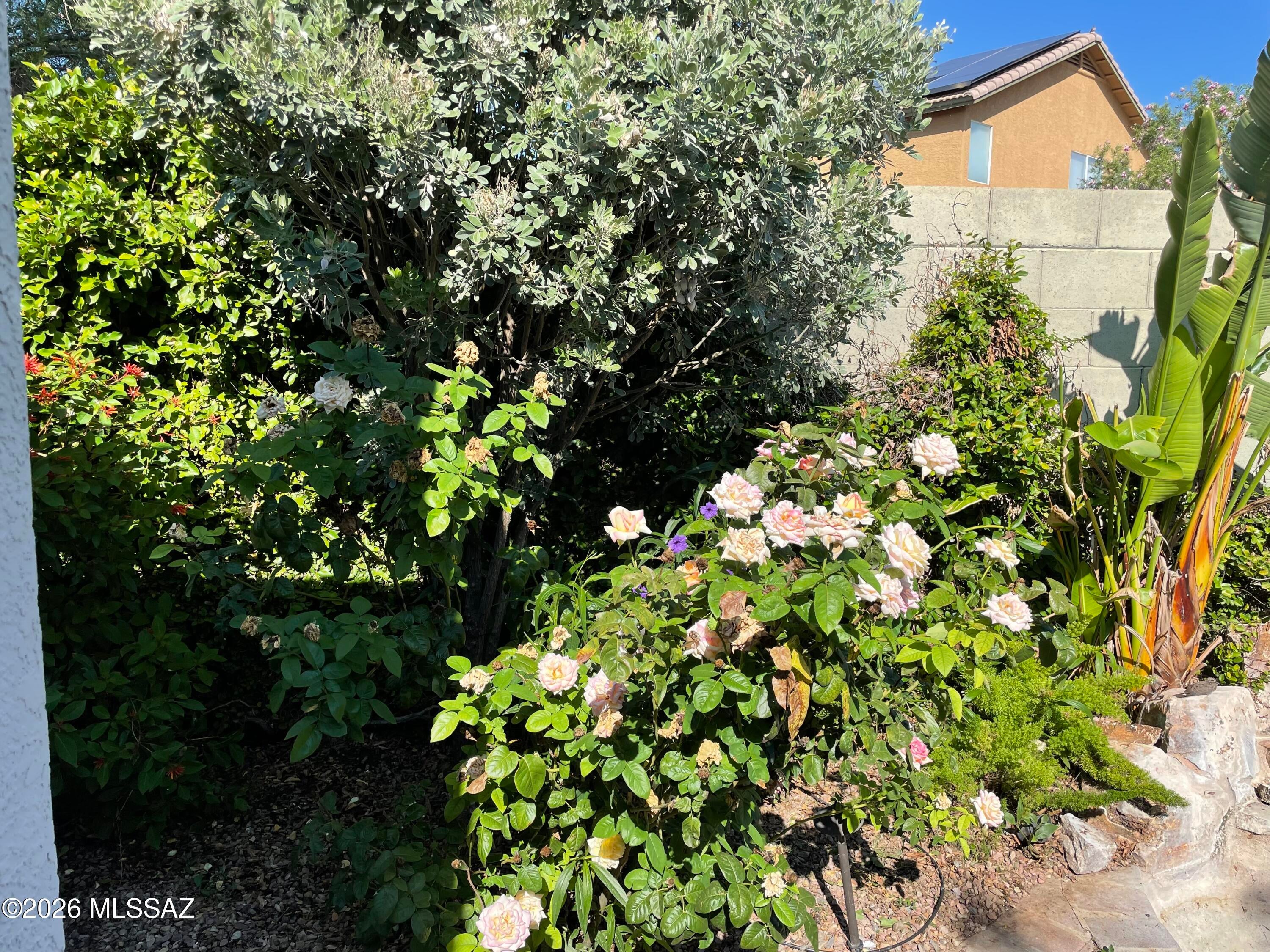 Continental Ranch Parcel 27 B (1-179) - Residential Lease