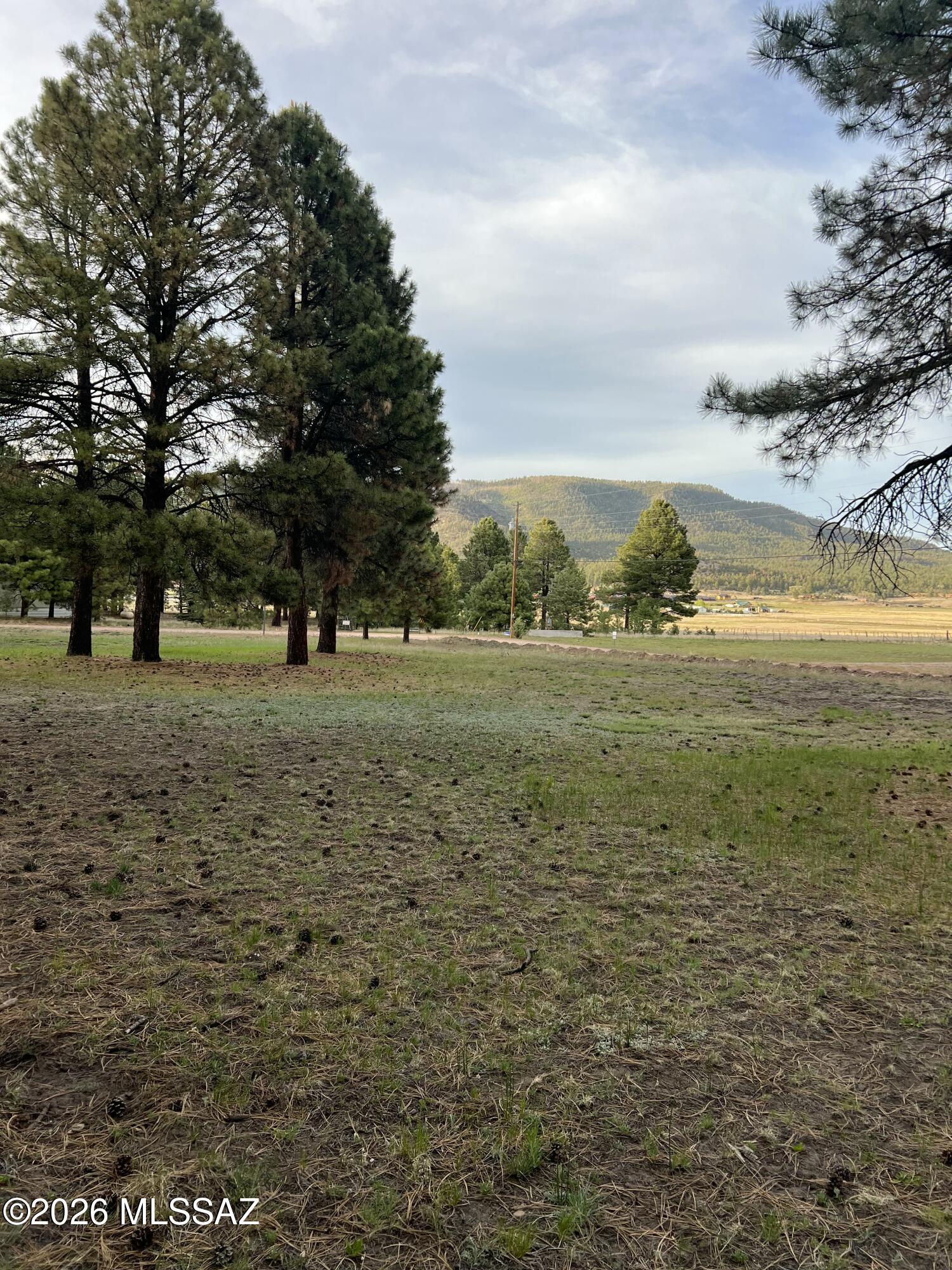 Beautiful .45-acre corner lot in Alpine Village East. This level parcel features electric, water, and sewer available at lot line. The lot features a nice view of open meadow to the east. The property offers a peaceful setting with the perfect blend of privacy and scenery. Enjoy cool mountain temperatures, abundant wildlife, and easy access to outdoor recreation including fishing, hiking, and hunting. County-maintained roads and no HOA. Great opportunity to own a premium homesite in Arizona's White Mountains....come check it out!