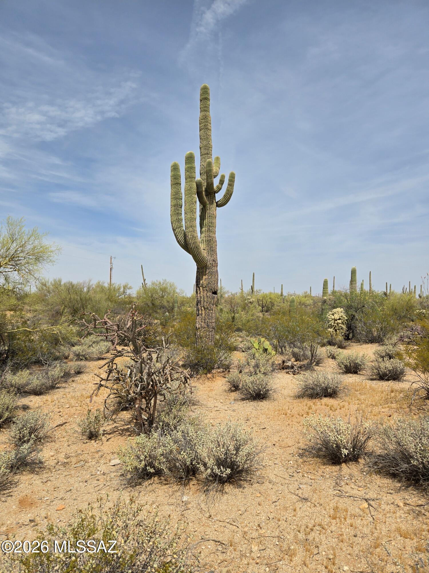 Bordered by panoramic views, lush virgin desert abundant wildlife & natural desert. Center of the county for easy access. County maintained road. Come visualize your dreams!