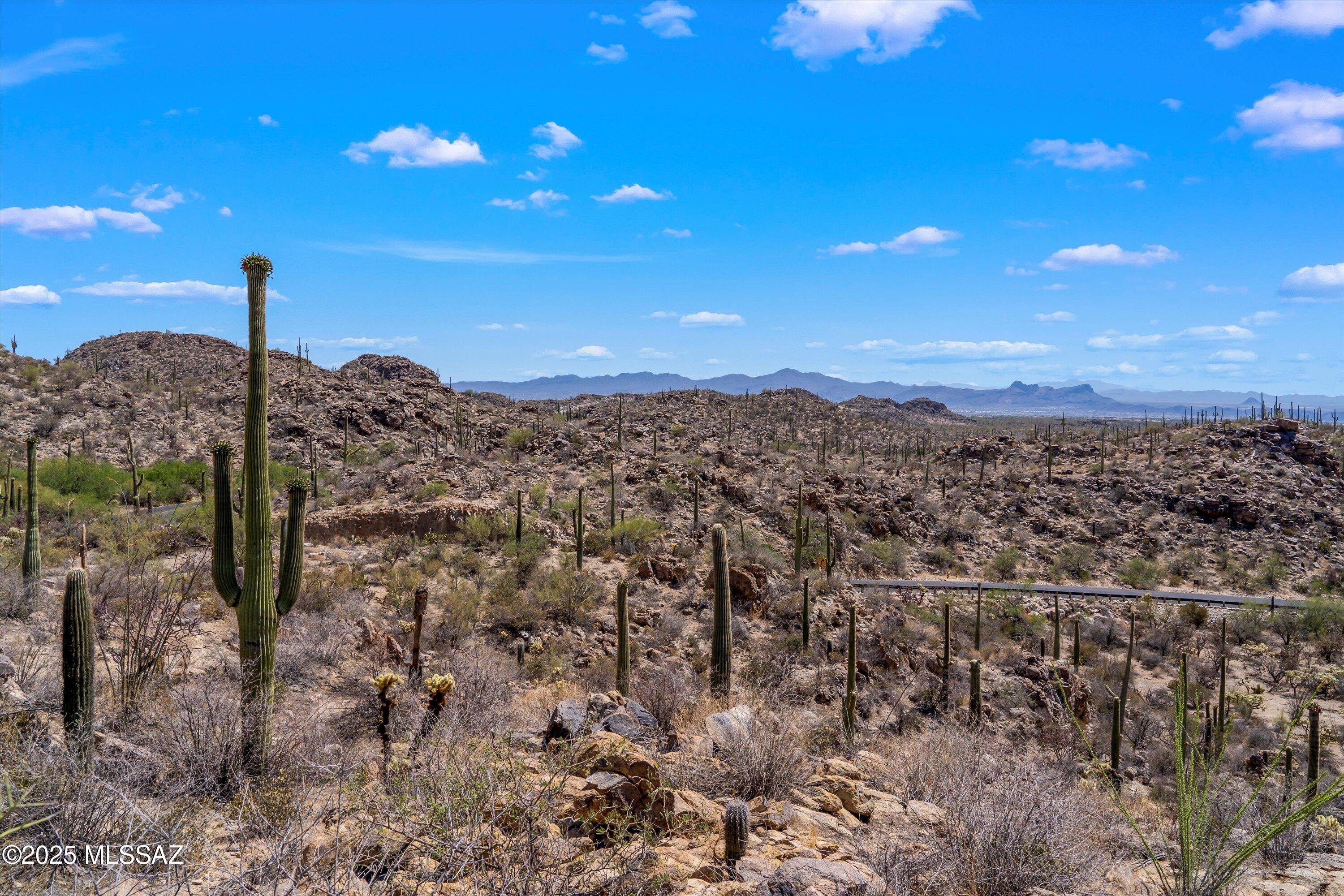 Saguaro Ranch (9-52) Blks. 1-4 - Land