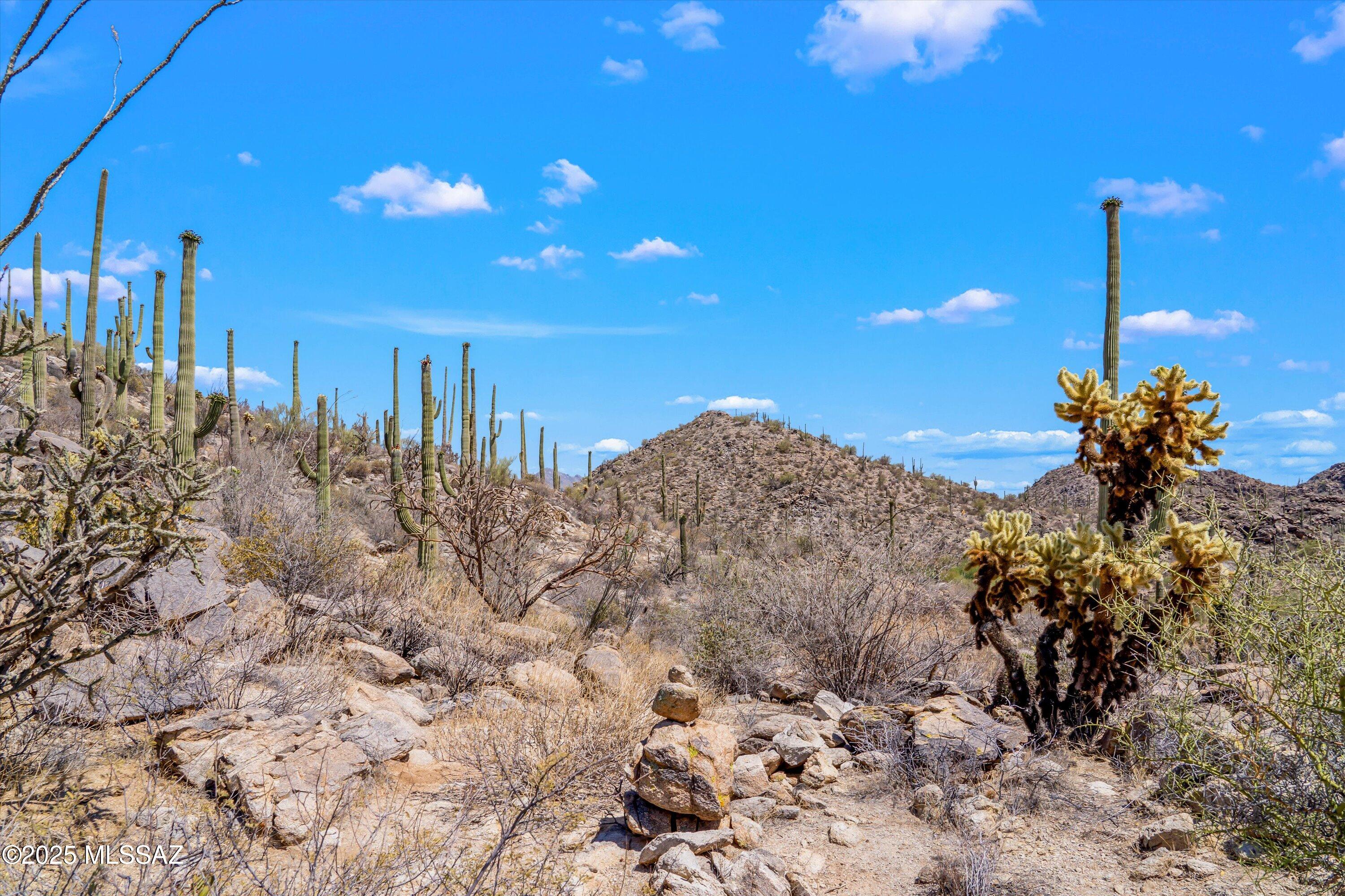 Saguaro Ranch (9-52) Blks. 1-4 - Land