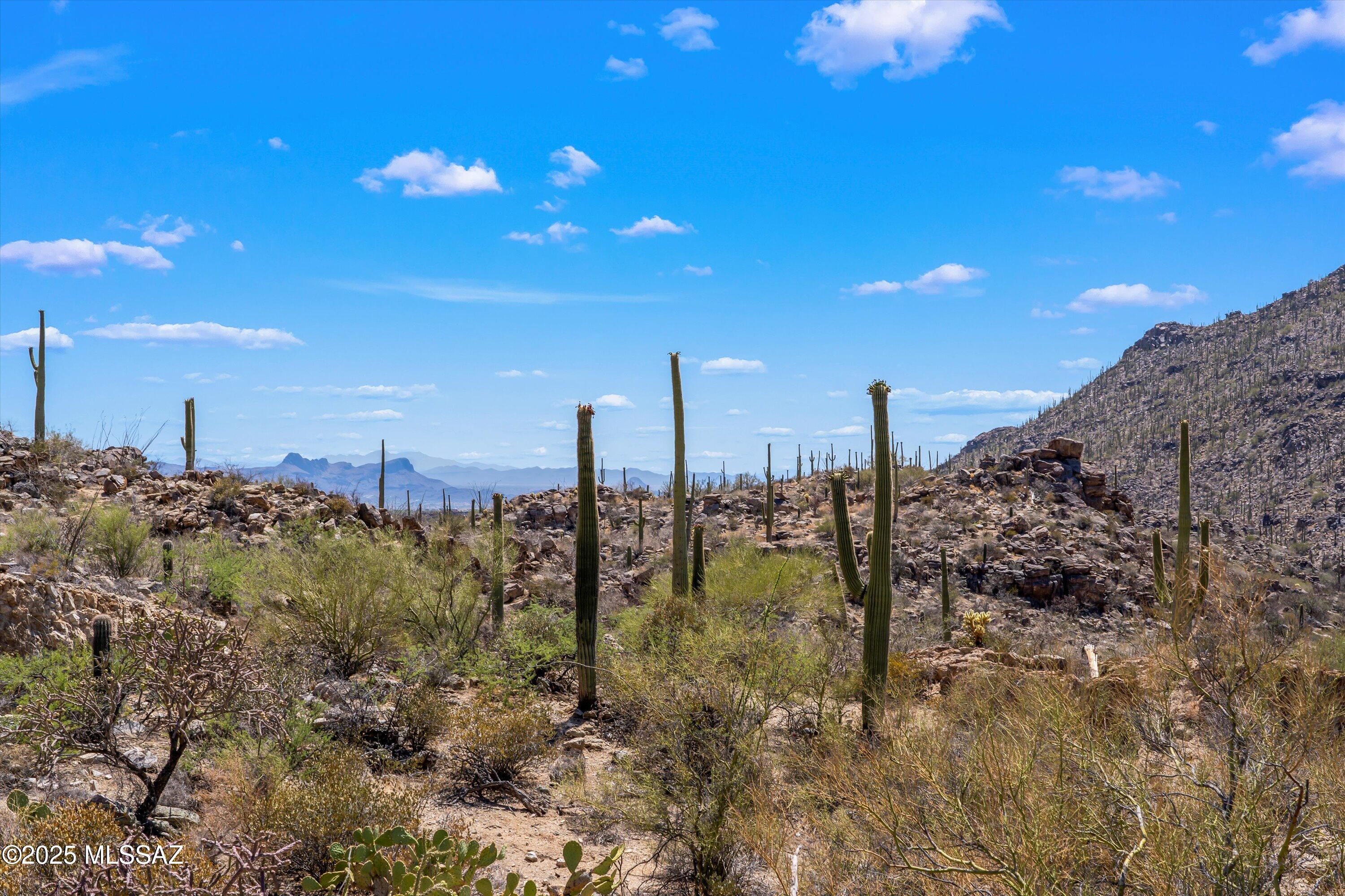 Saguaro Ranch (9-52) Blks. 1-4 - Land