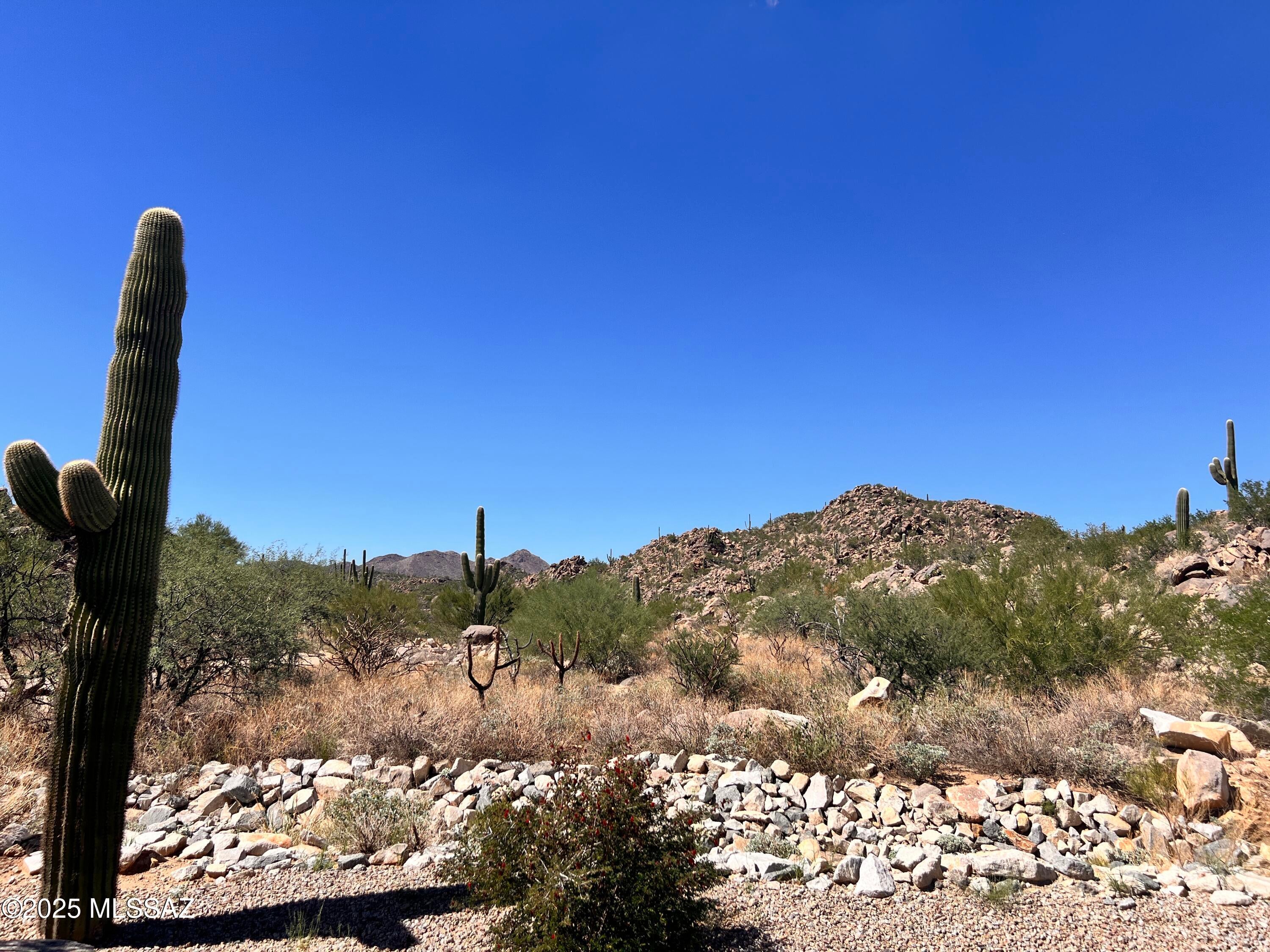 Stone Canyon III - Residential Lease