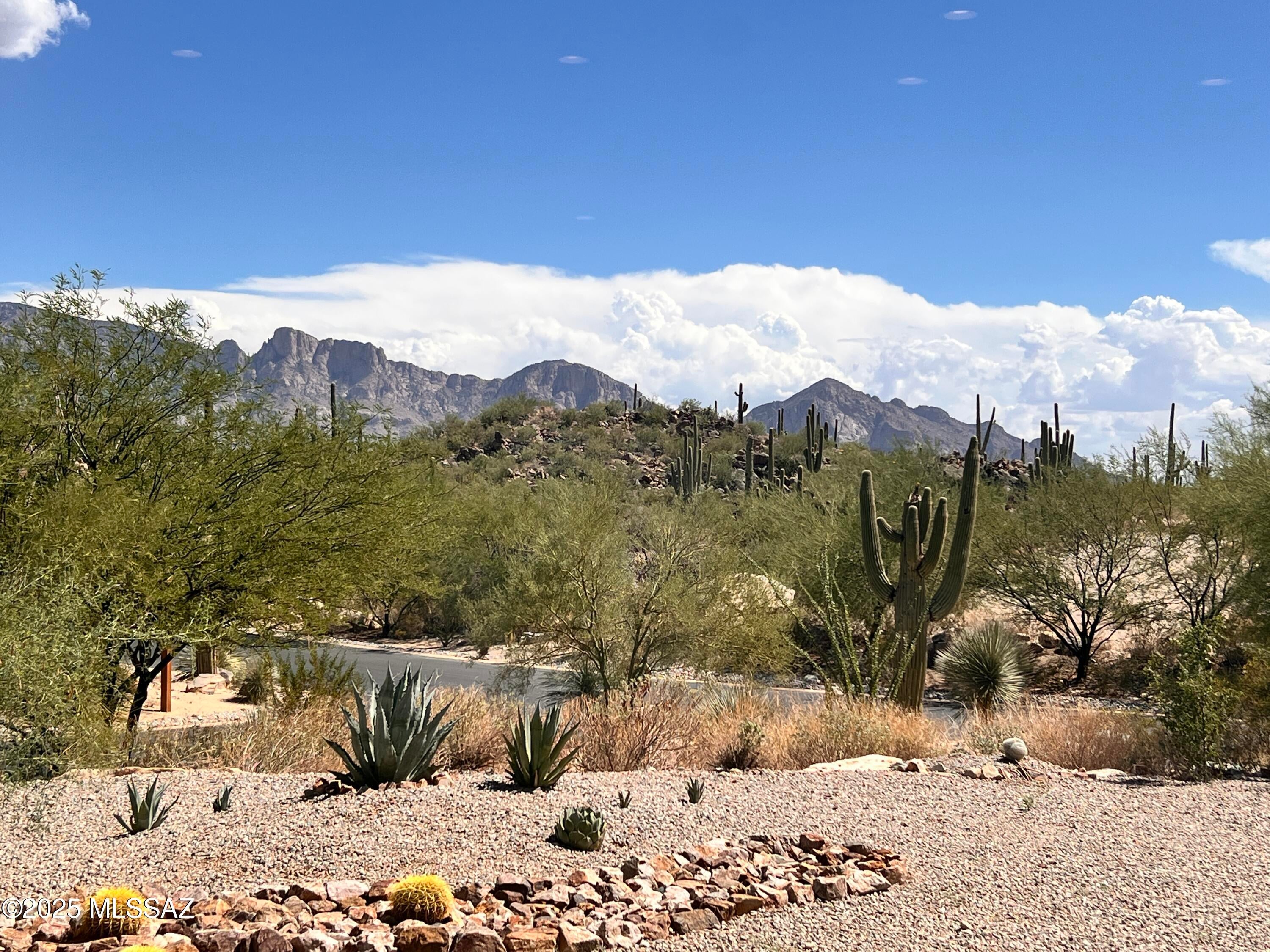 Stone Canyon III - Residential Lease