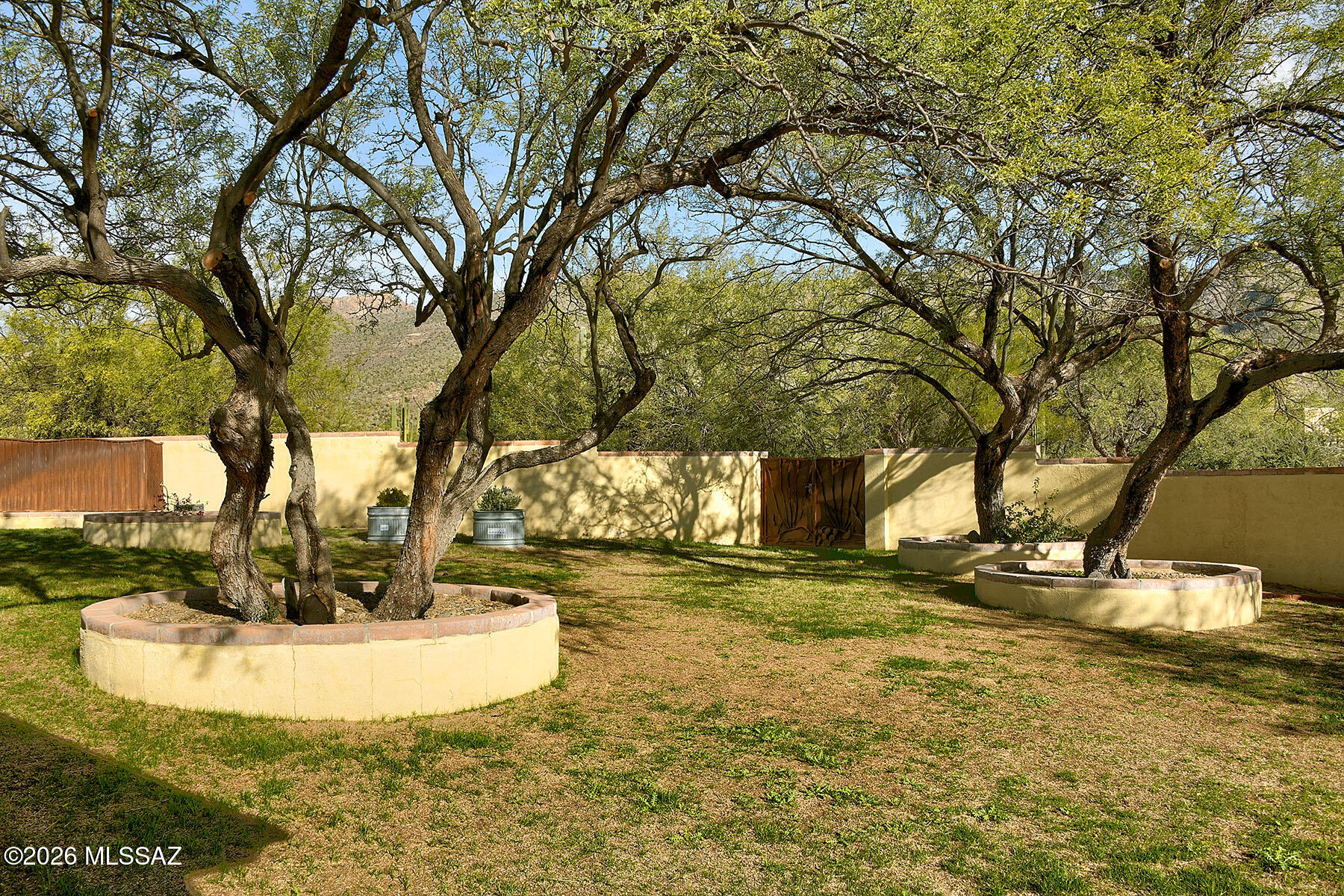 Ranchitos De Los Saguaros (1-21) - Residential
