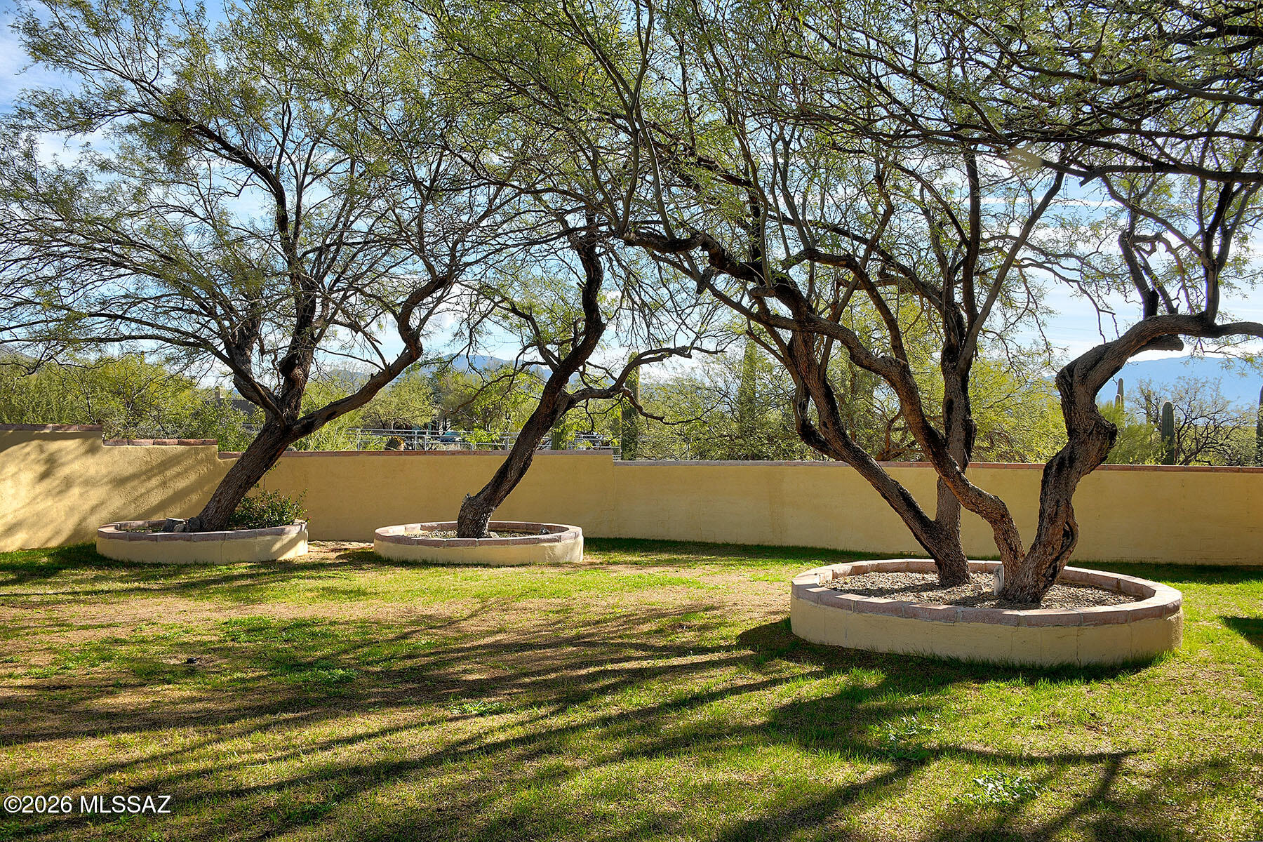 Ranchitos De Los Saguaros (1-21) - Residential
