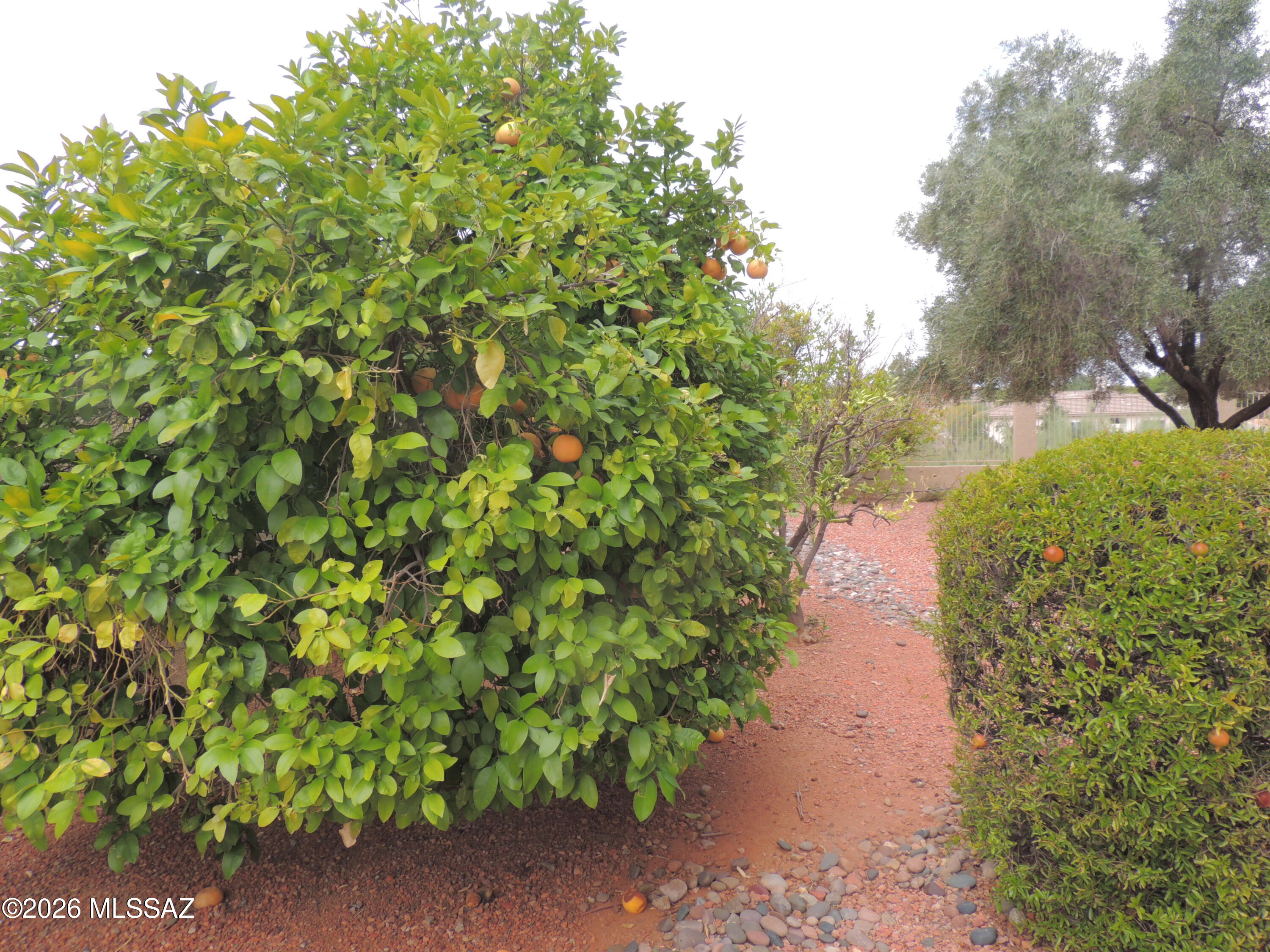 Rancho Vistoso Neighborhood 10 - Residential