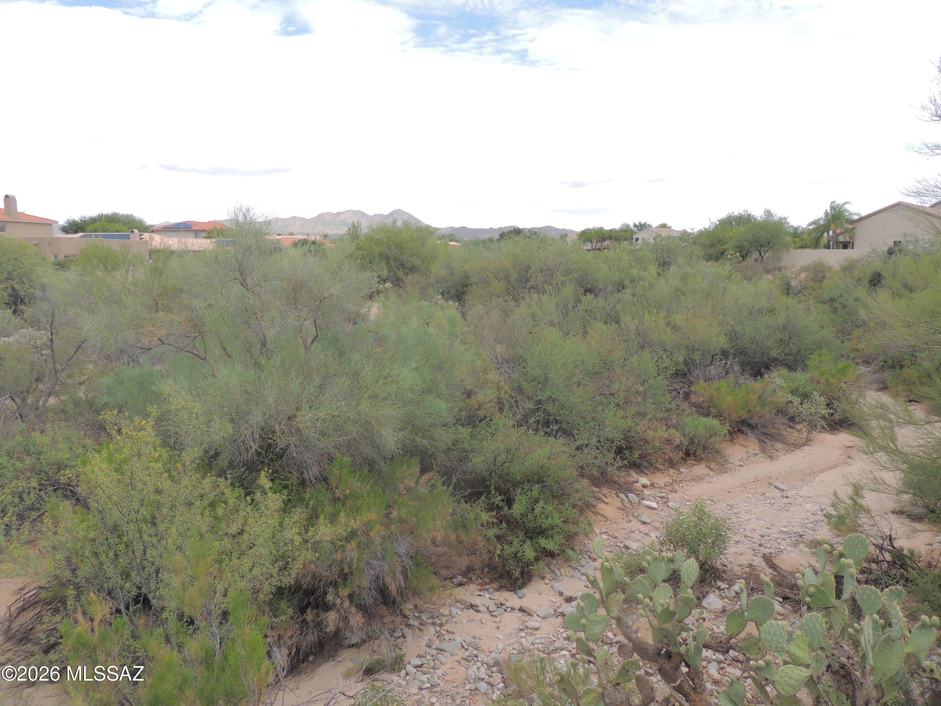 Rancho Vistoso Neighborhood 10 - Residential