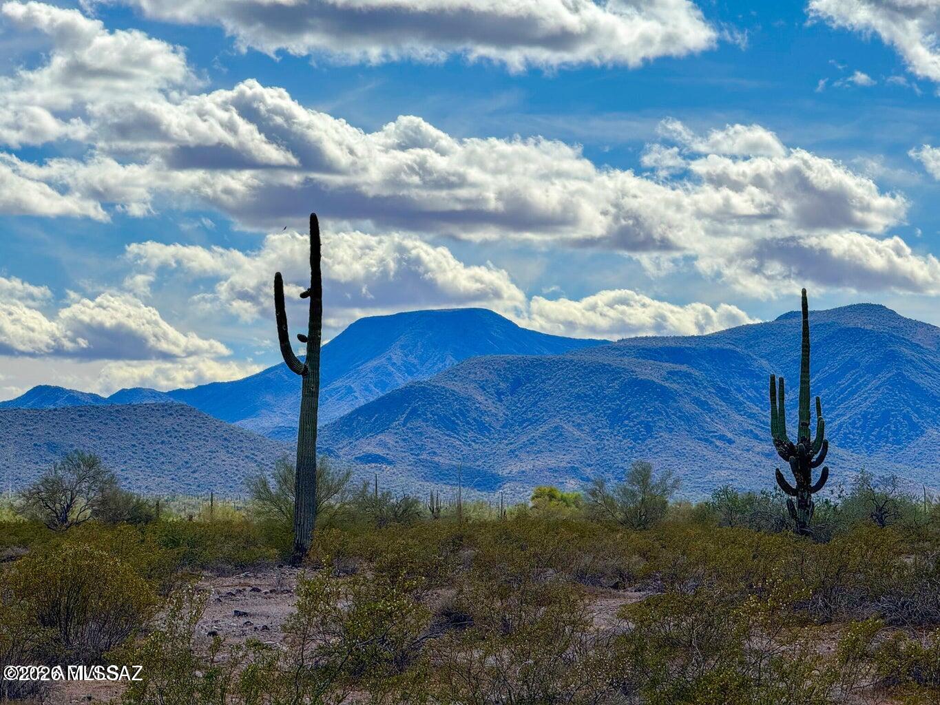 Very private, 1.67 Acres, surrounded by mountain views and with no HOA or CC&R's to limit you. Tons of solitude, starry night skies, tall saguaros and mesquite trees all come with this desert property. Amenities are just a short drive to town. Additional Acreage is available. SELLER FINANCING AVAILABLE. Survey split in process