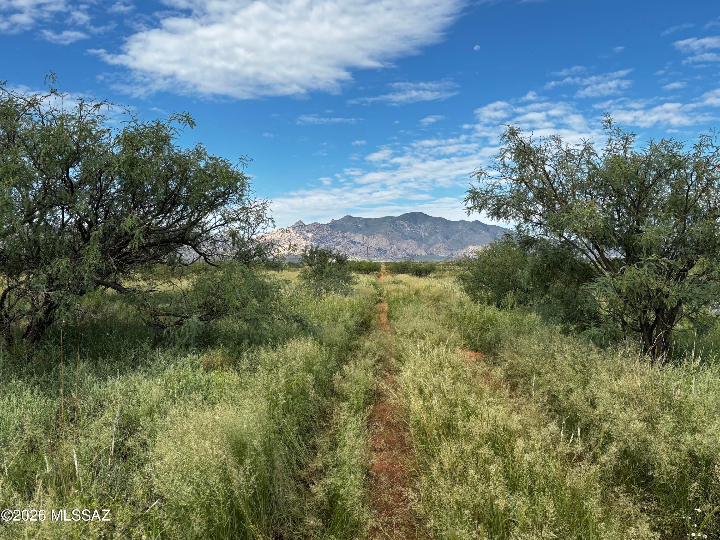 2 lots totaling 1.62 Acres. Good mountain views and good access. Close to Sunsites. 
Will need a septic system and either power brough in or do Solar. no close neighboring homes. Come to Pearce and enjoy the Peace and Quiet our area provides! No HOA. Goes by Cochise county zoning ordinances for SR-22 zoning.  Sale includes lots 116-13-079 and 116-13-080 Power poles are at the corner of Willcox and Euclid.
