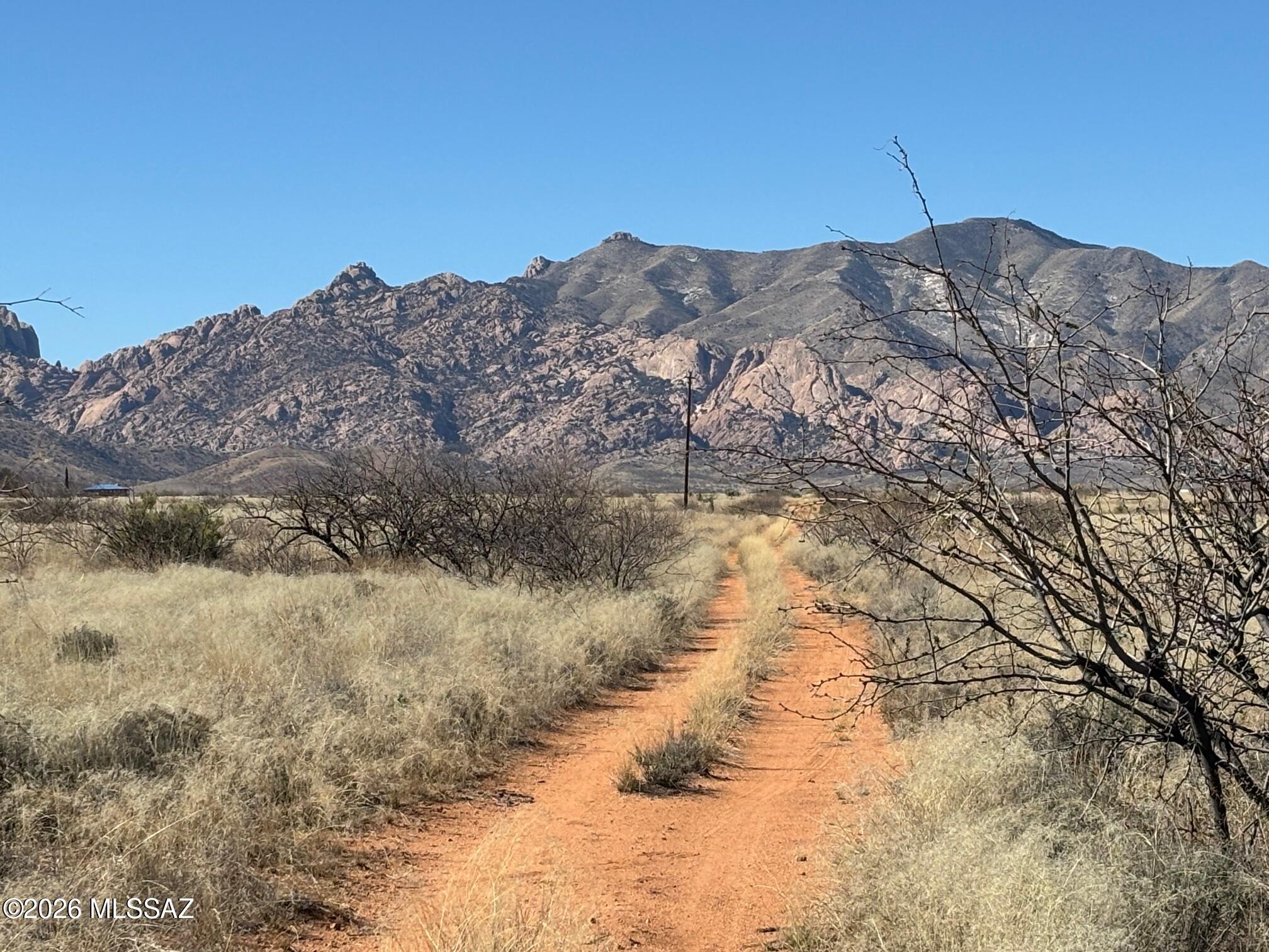 2 lots totaling 1.62 Acres. Good mountain views and good access. Close to Sunsites. 
Will need a septic system and either power brough in or do Solar. no close neighboring homes. Come to Pearce and enjoy the Peace and Quiet our area provides! No HOA. Goes by Cochise county zoning ordinances for SR-22 zoning.  Sale includes lots 116-13-079 and 116-13-180 Power poles are at the corner of Willcox and Euclid.