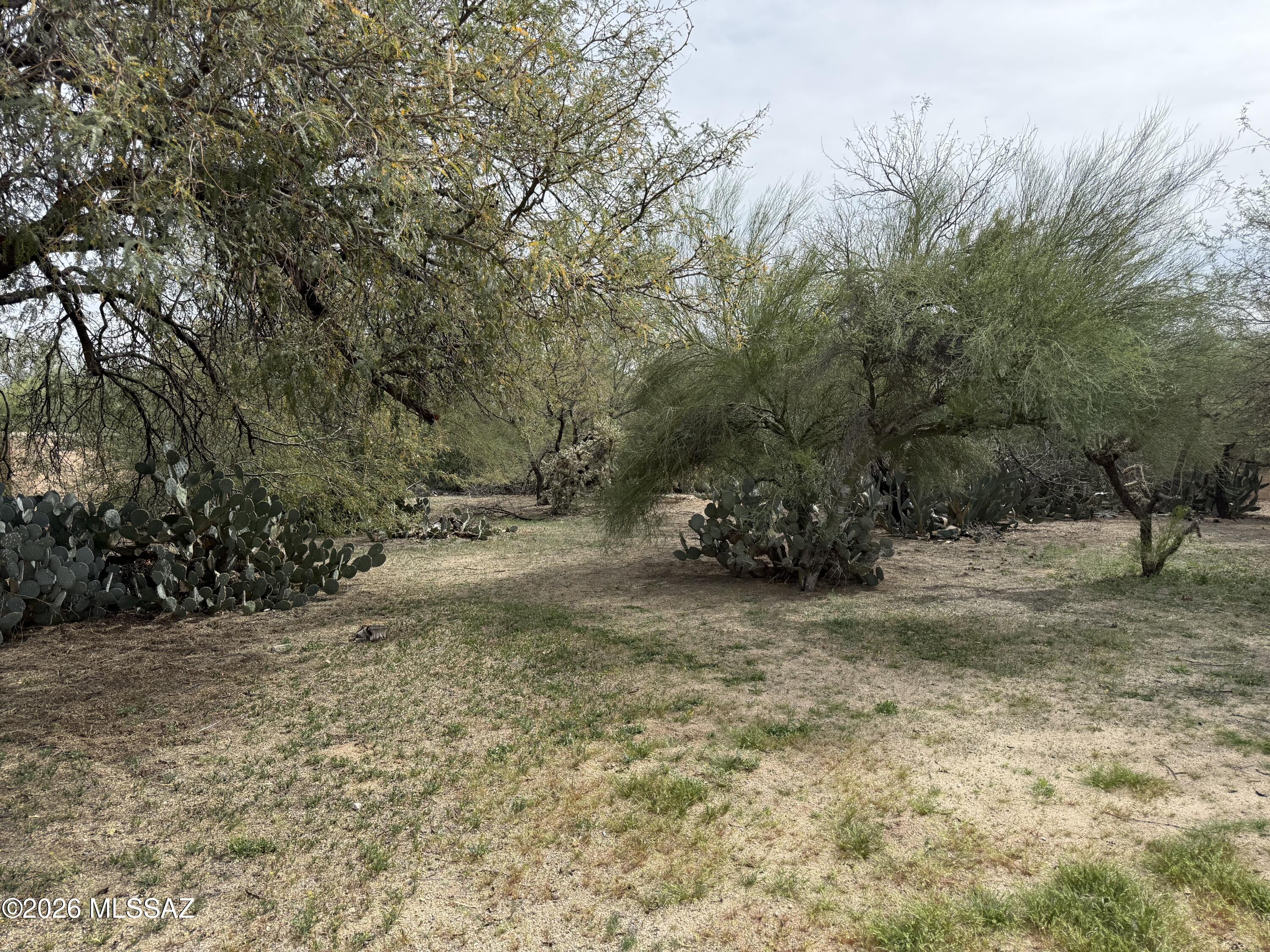 Green Valley Country Club Vistas(1-229) - Land