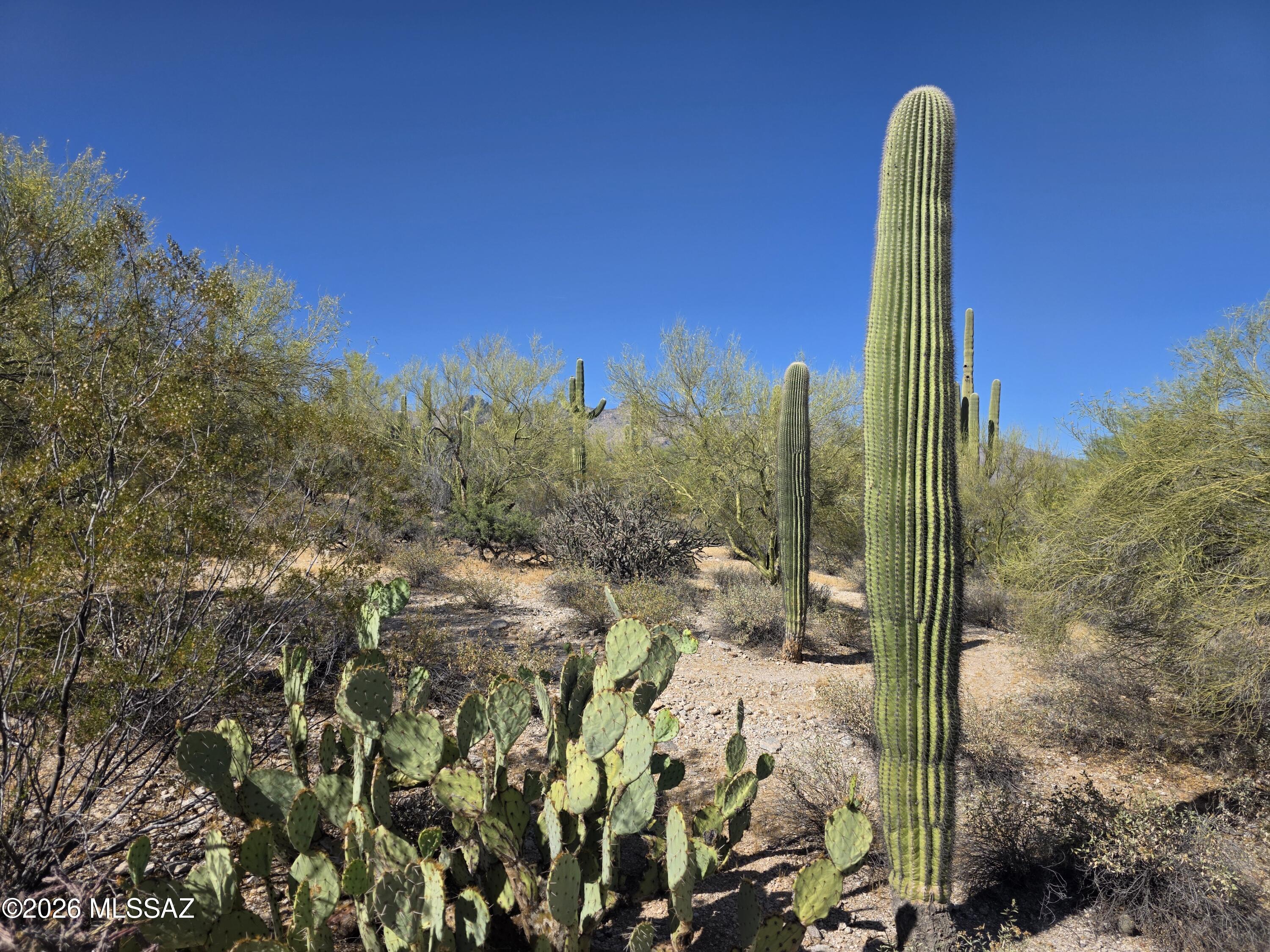 Catalina Foothills Estates NO. 2 - Land