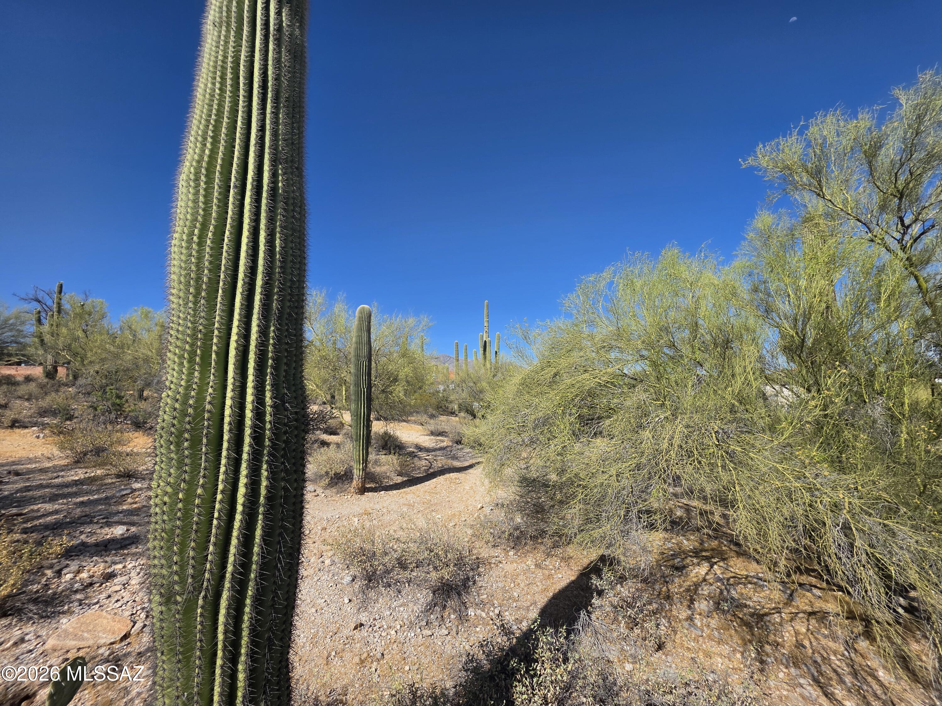 Catalina Foothills Estates NO. 2 - Land
