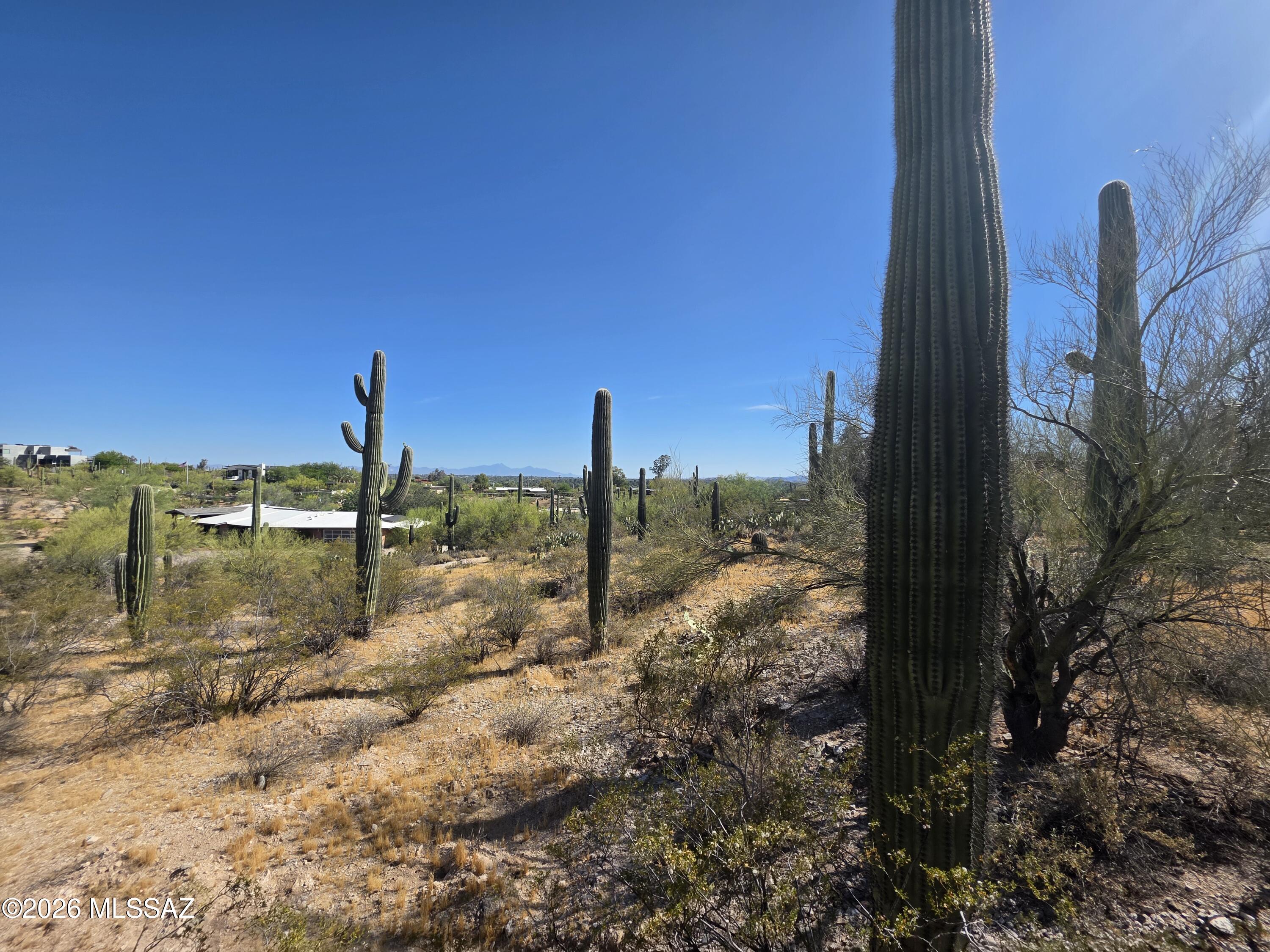 Catalina Foothills Estates NO. 2 - Land