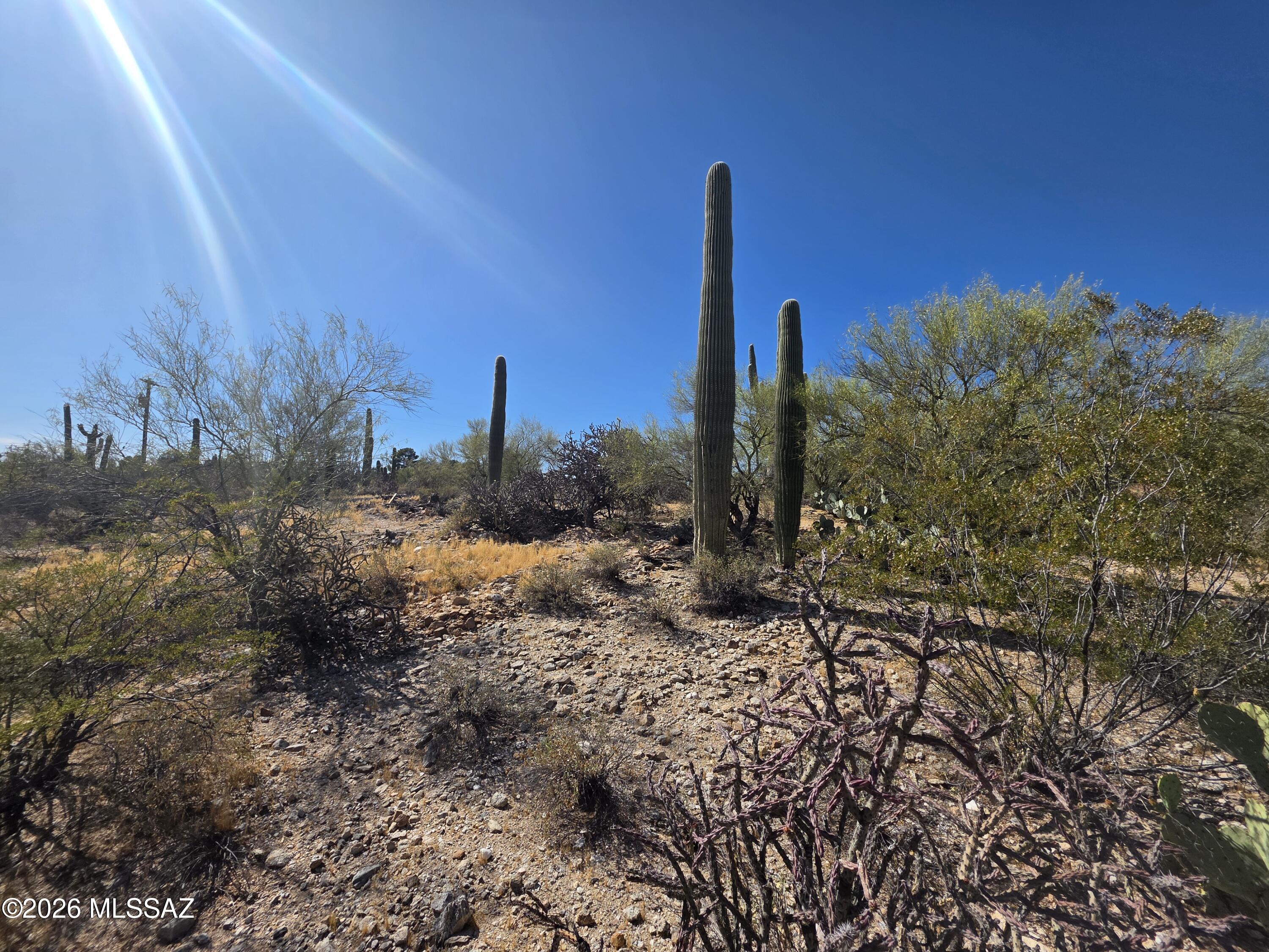 Catalina Foothills Estates NO. 2 - Land