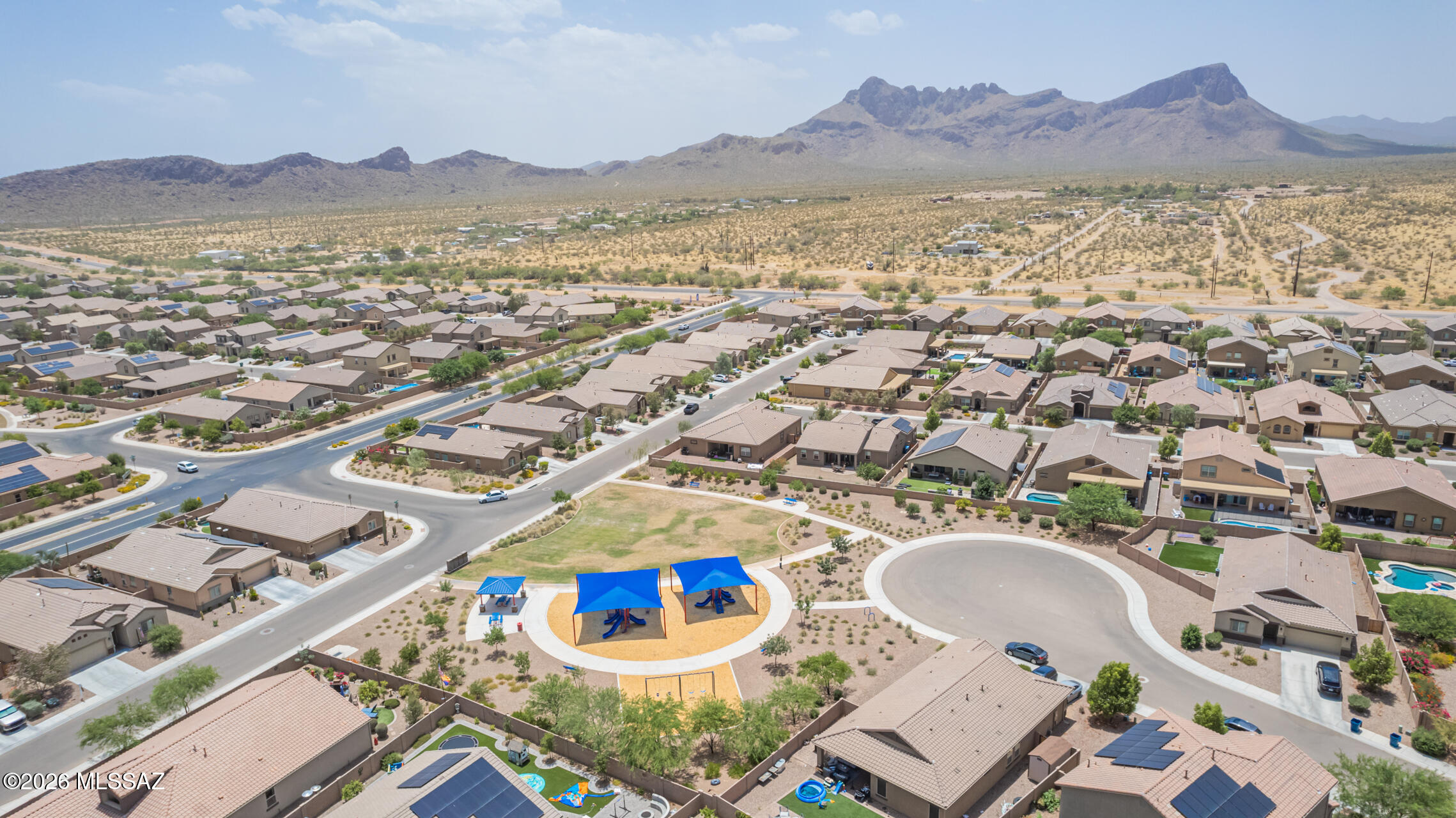 Saguaro Bloom SQ20180540069 - Residential