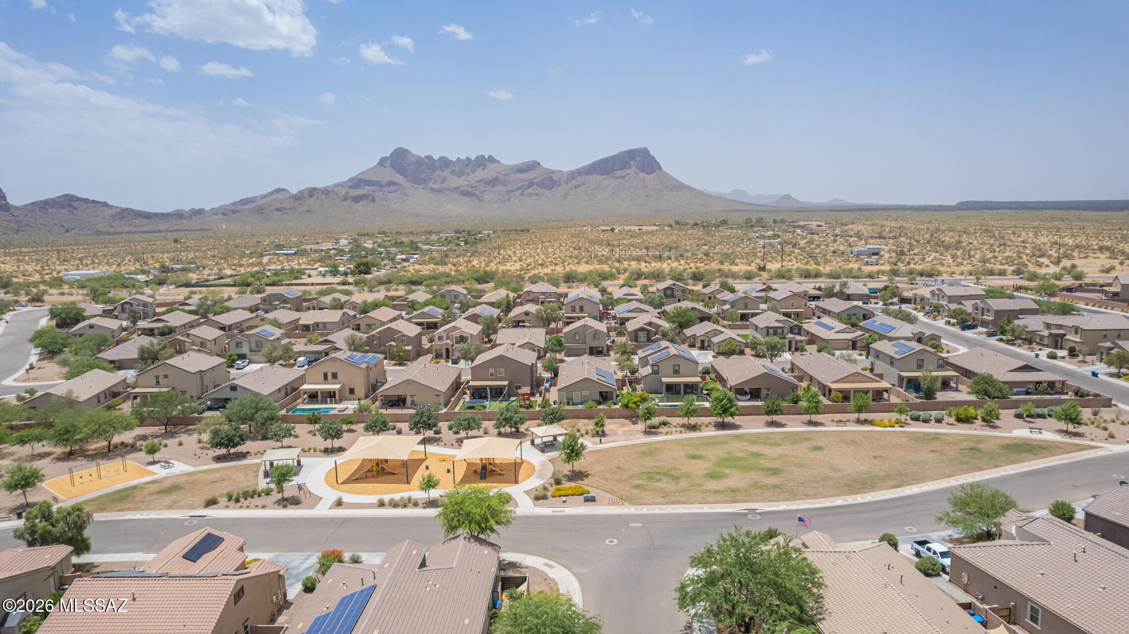 Saguaro Bloom SQ20180540069 - Residential
