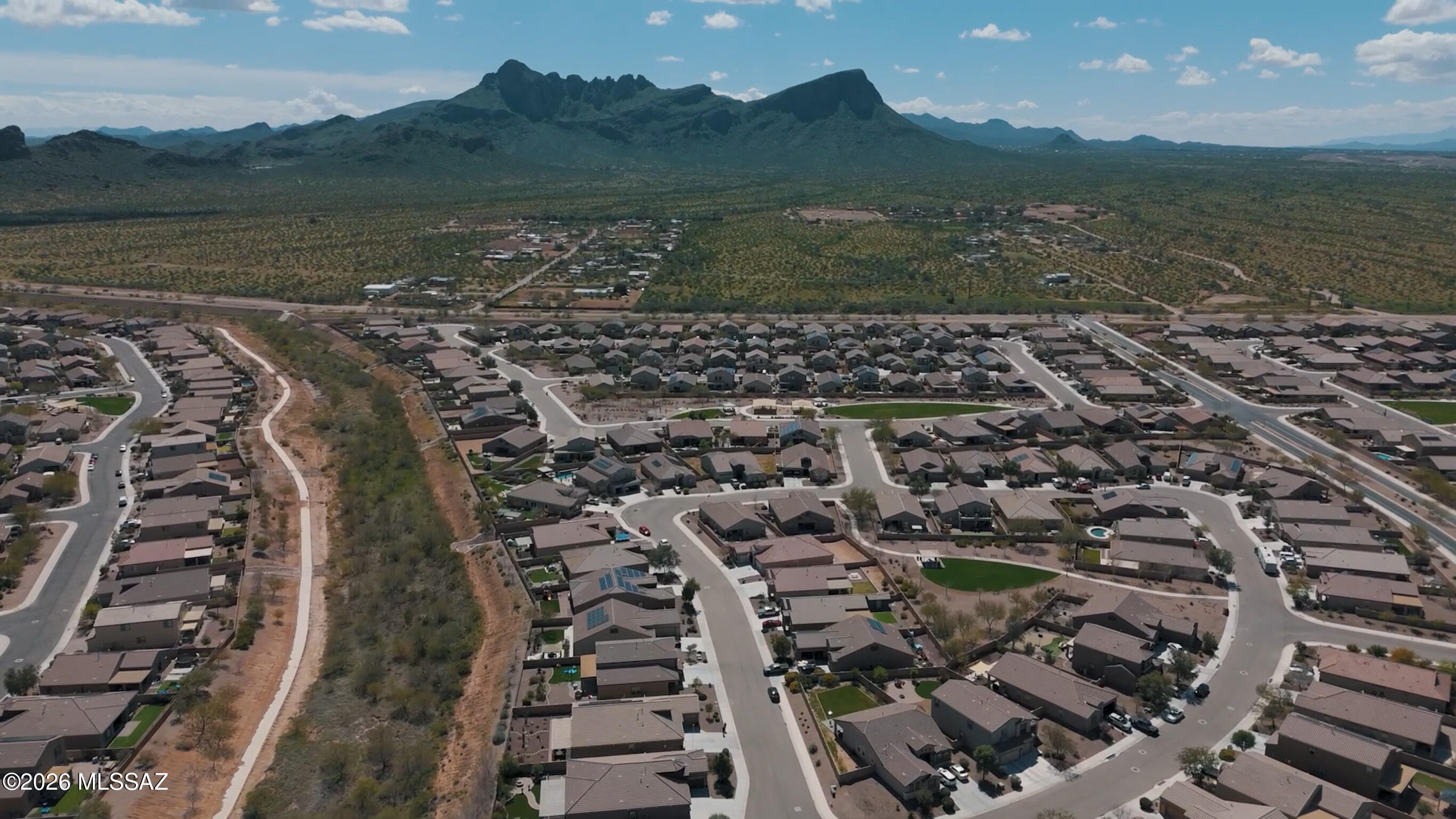 Saguaro Bloom SQ20180540069 - Residential
