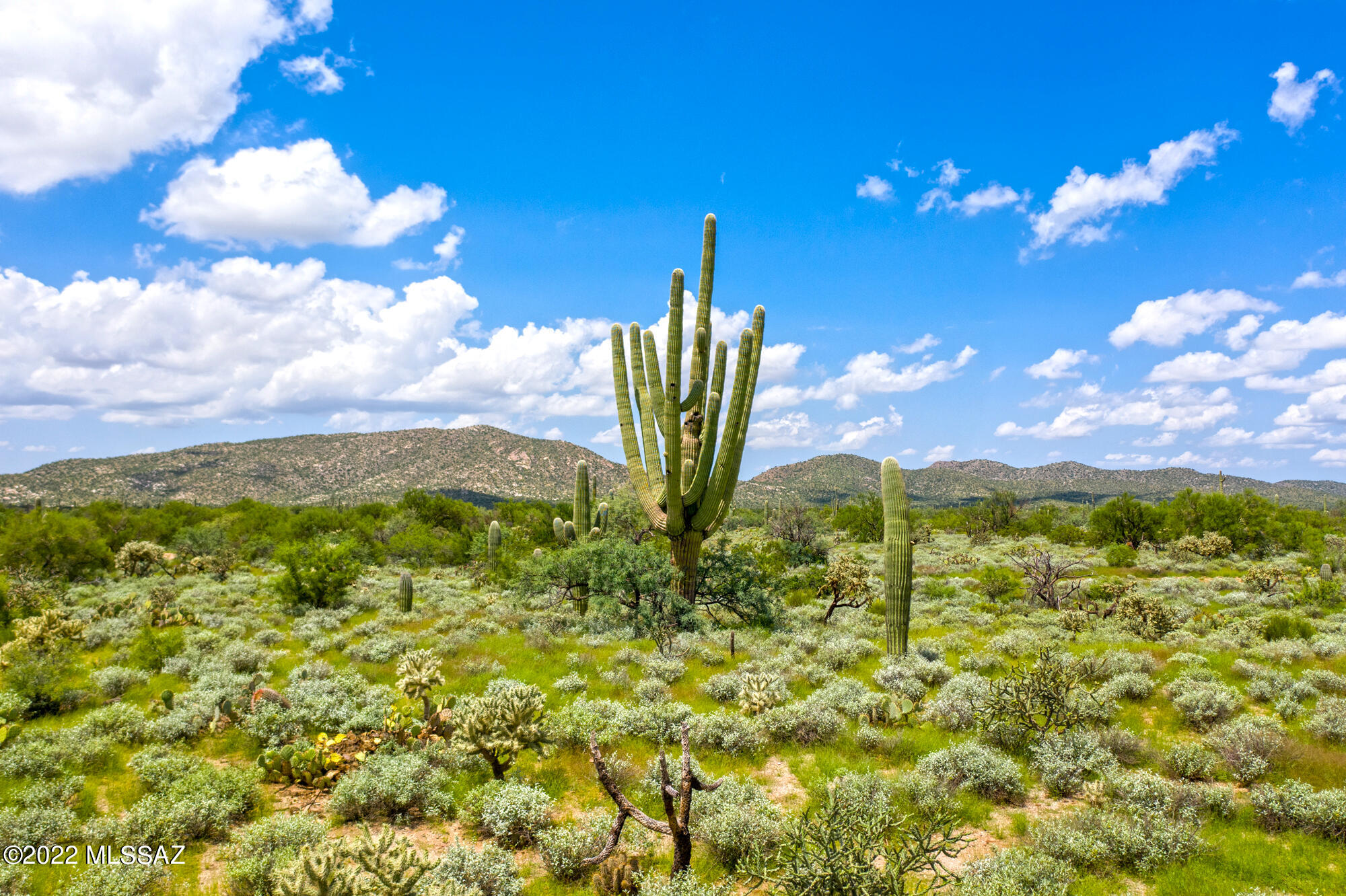 Price includes underground electric to lot line and access to shared well for one home, assuming no lot splits. Lot borders State Land for endless exploring and adventure. Enjoy pristine desert, lush vegetation, rolling terrain with gorgeous sunset and mountain views in Seven Owls Ranch, a planned development of 36 acre parcels 25 miles NW of Oro Valley, AZ. One of two remaining parcels in this phase; all subject to thoughtful, common sense CCRs and a max of 4 splits. Restricted to single story, site built homes. Taxes reflect larger parcel. Listing Agent related to Owner. Beneficiary of ownership trust is licensed to sell AZ Real Estate.