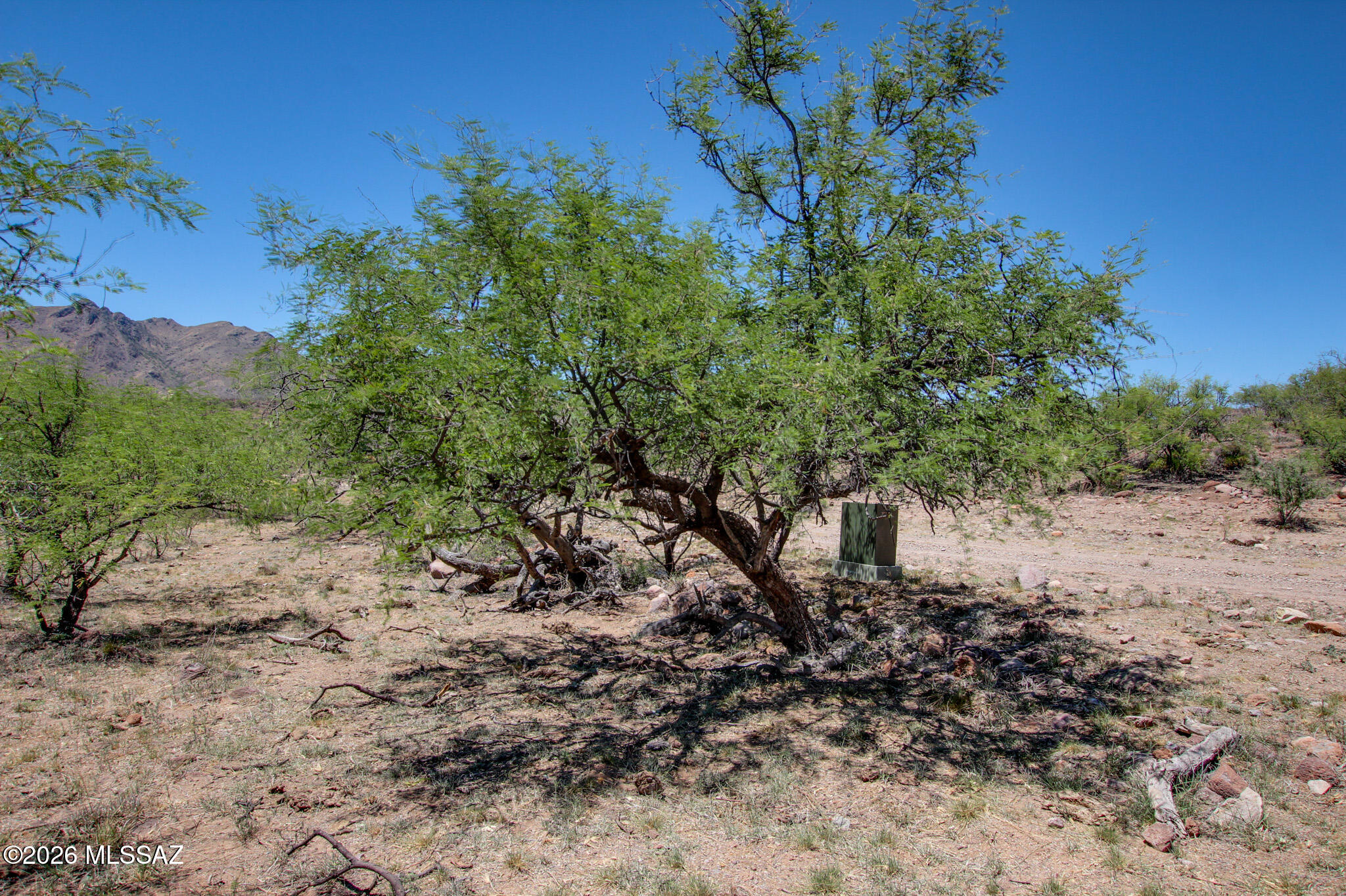 Salero Ranch - Land