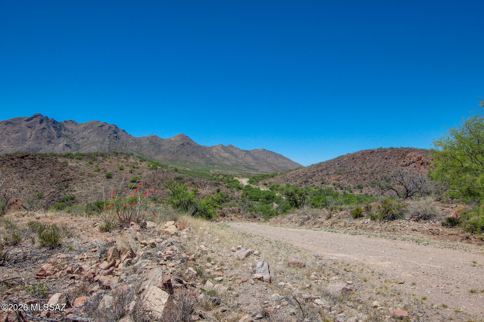 Salero Ranch - Land