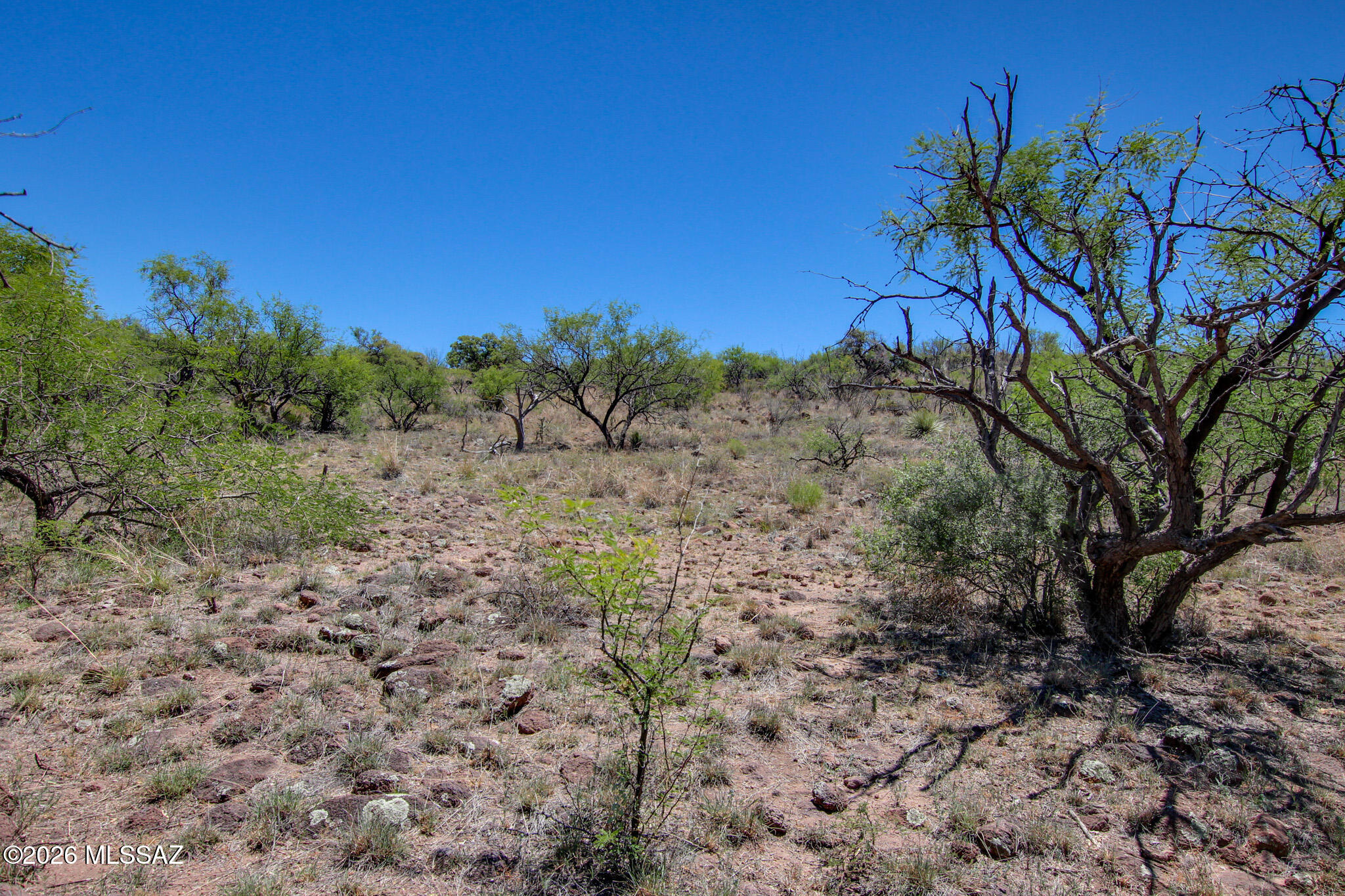 Salero Ranch - Land