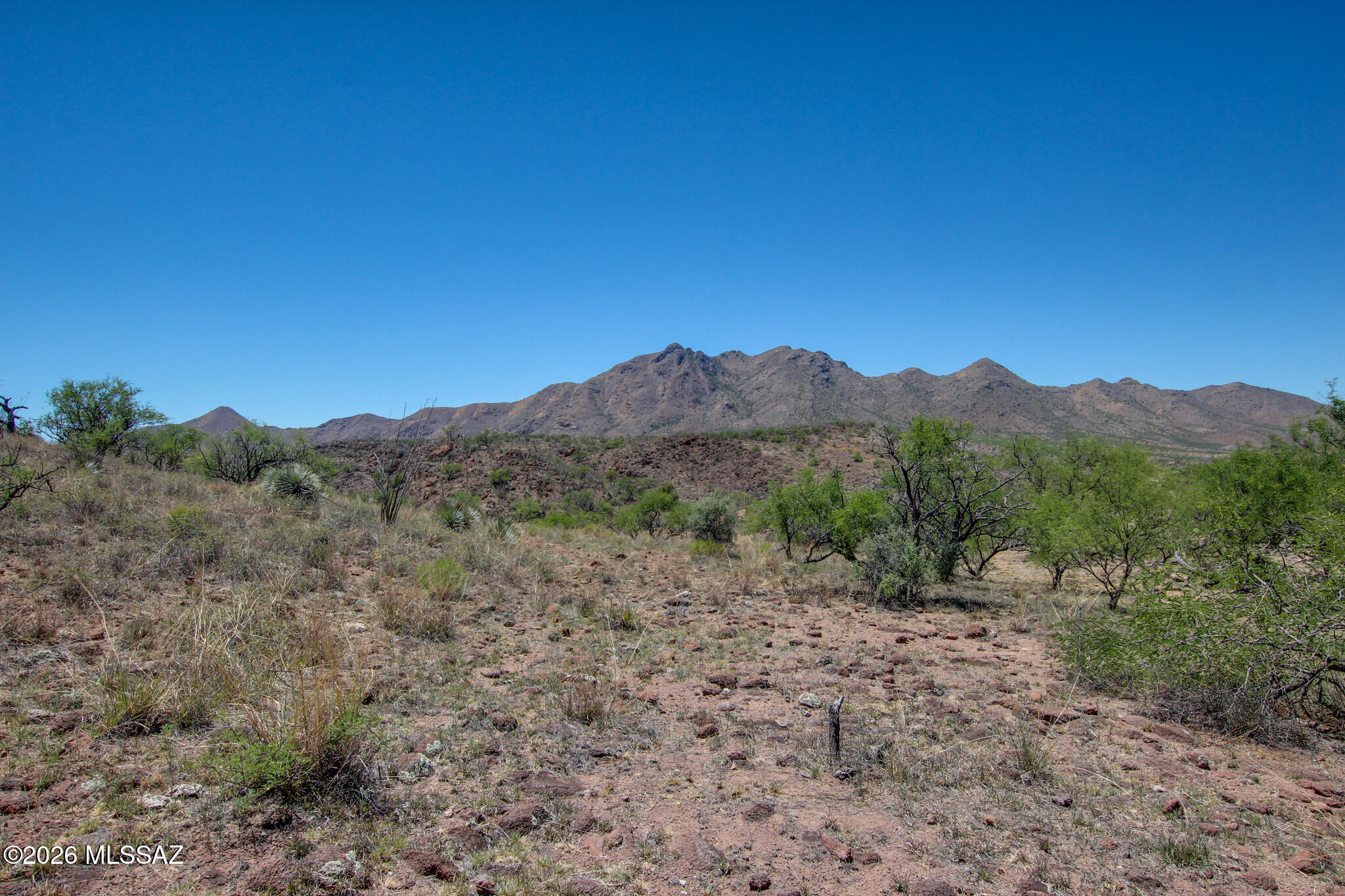 Salero Ranch - Land