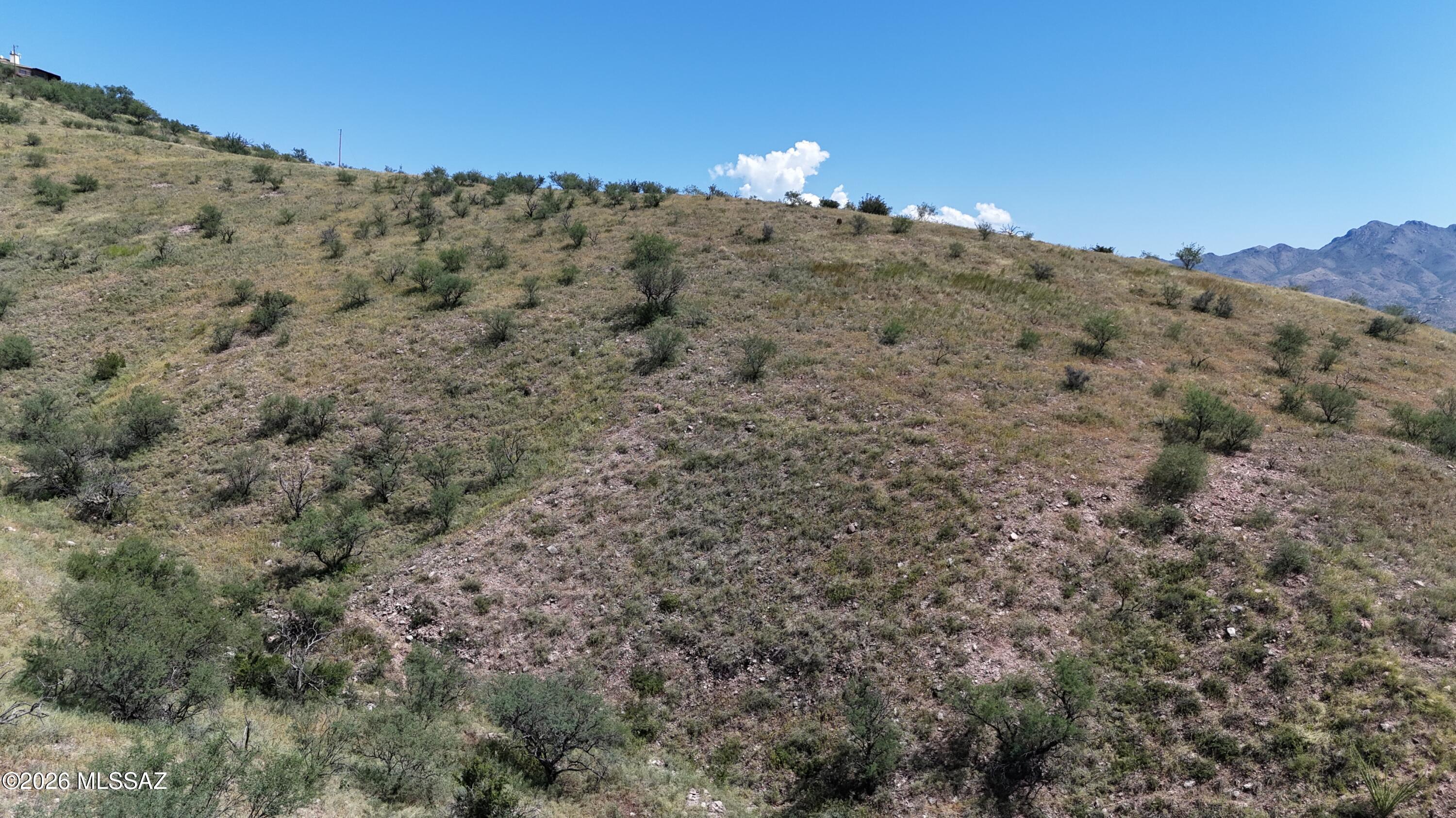 Rio Rico Ranchettes 10 - Land