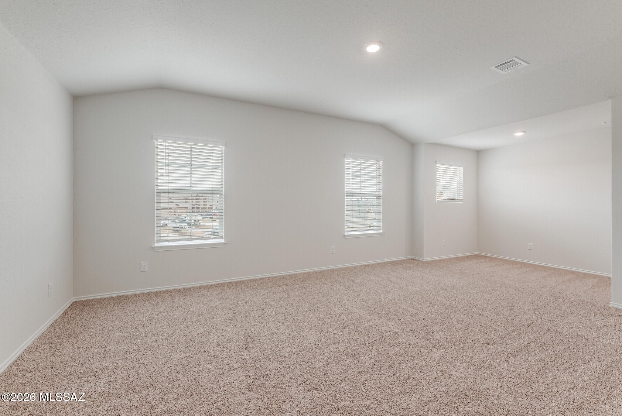Saguaro Bloom SQ20180540069 - Residential