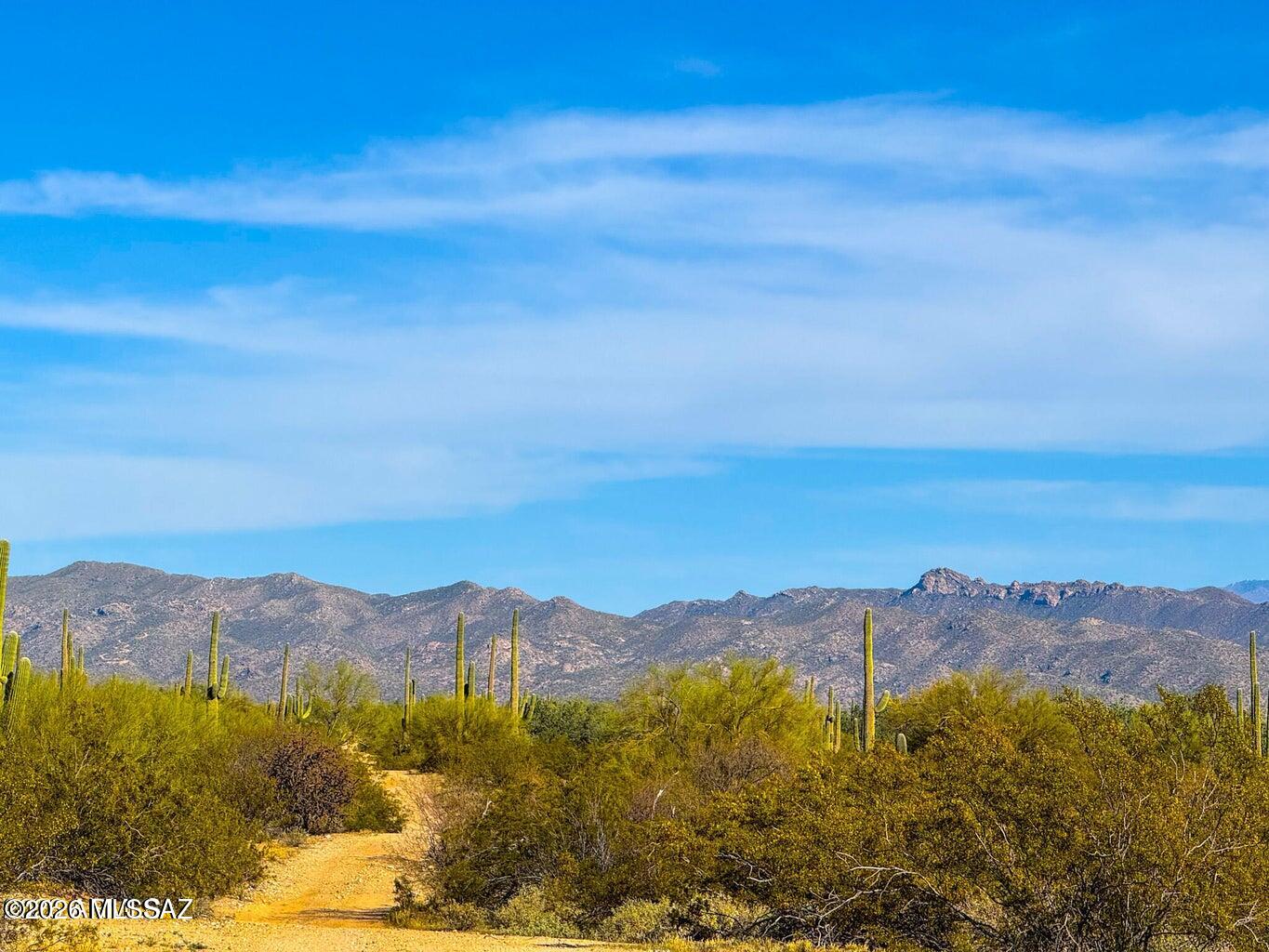 Out Of Pima County - Land