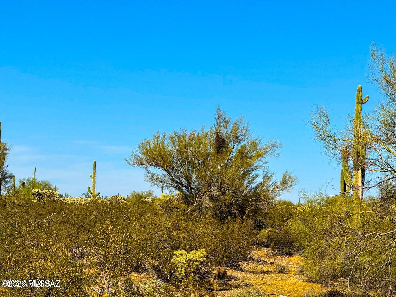 Out Of Pima County - Land