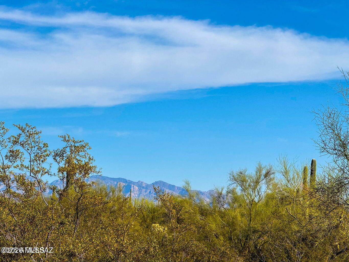 Out Of Pima County - Land