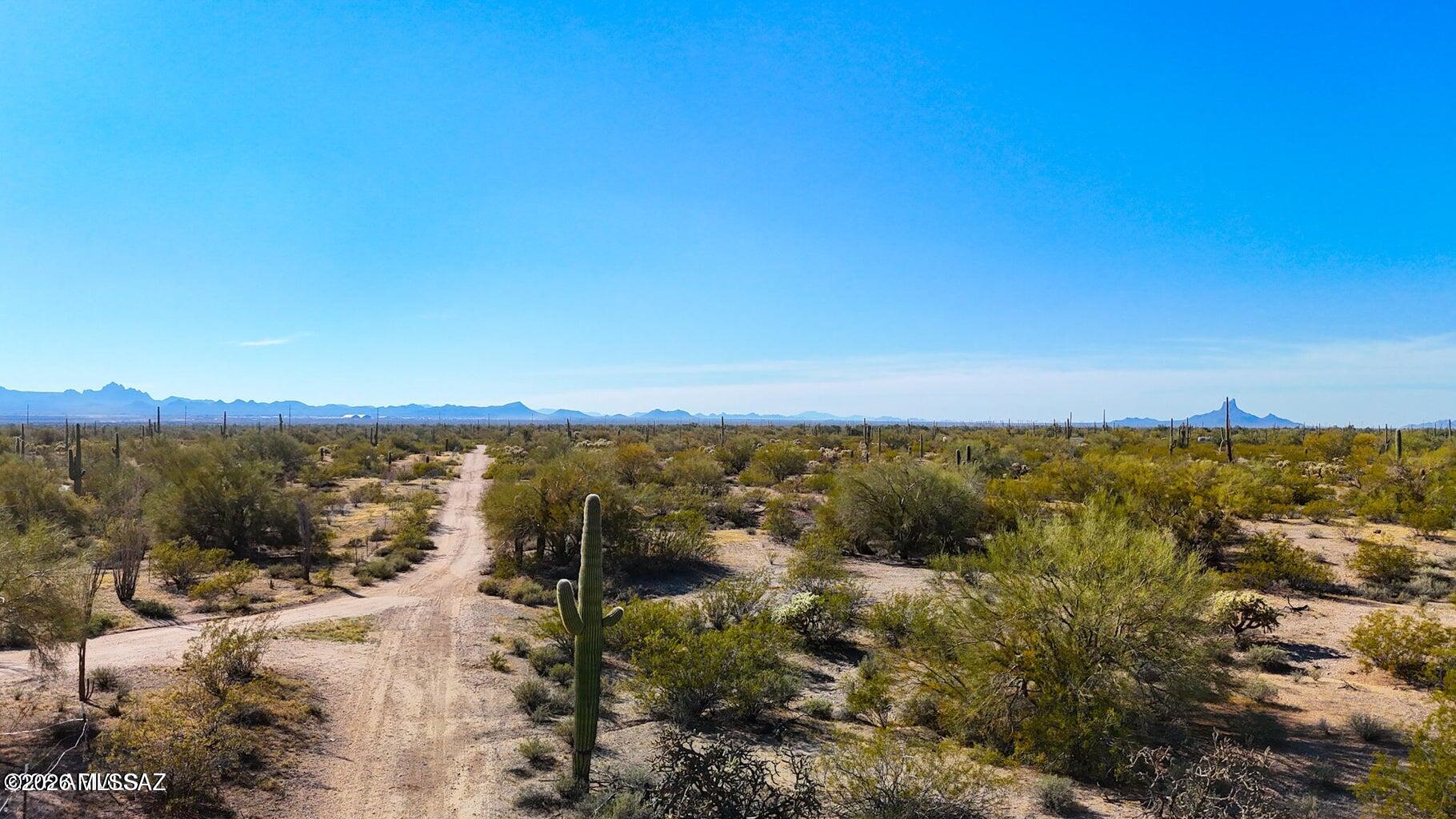 Out Of Pima County - Land