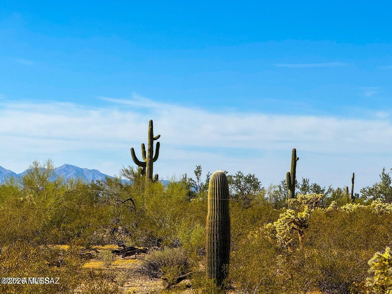 Out Of Pima County - Land