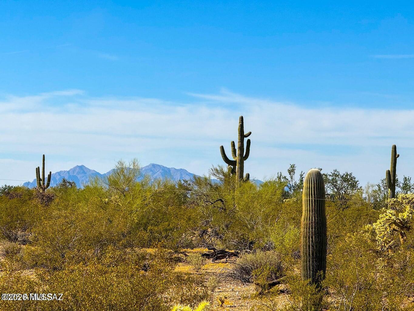 Out Of Pima County - Land