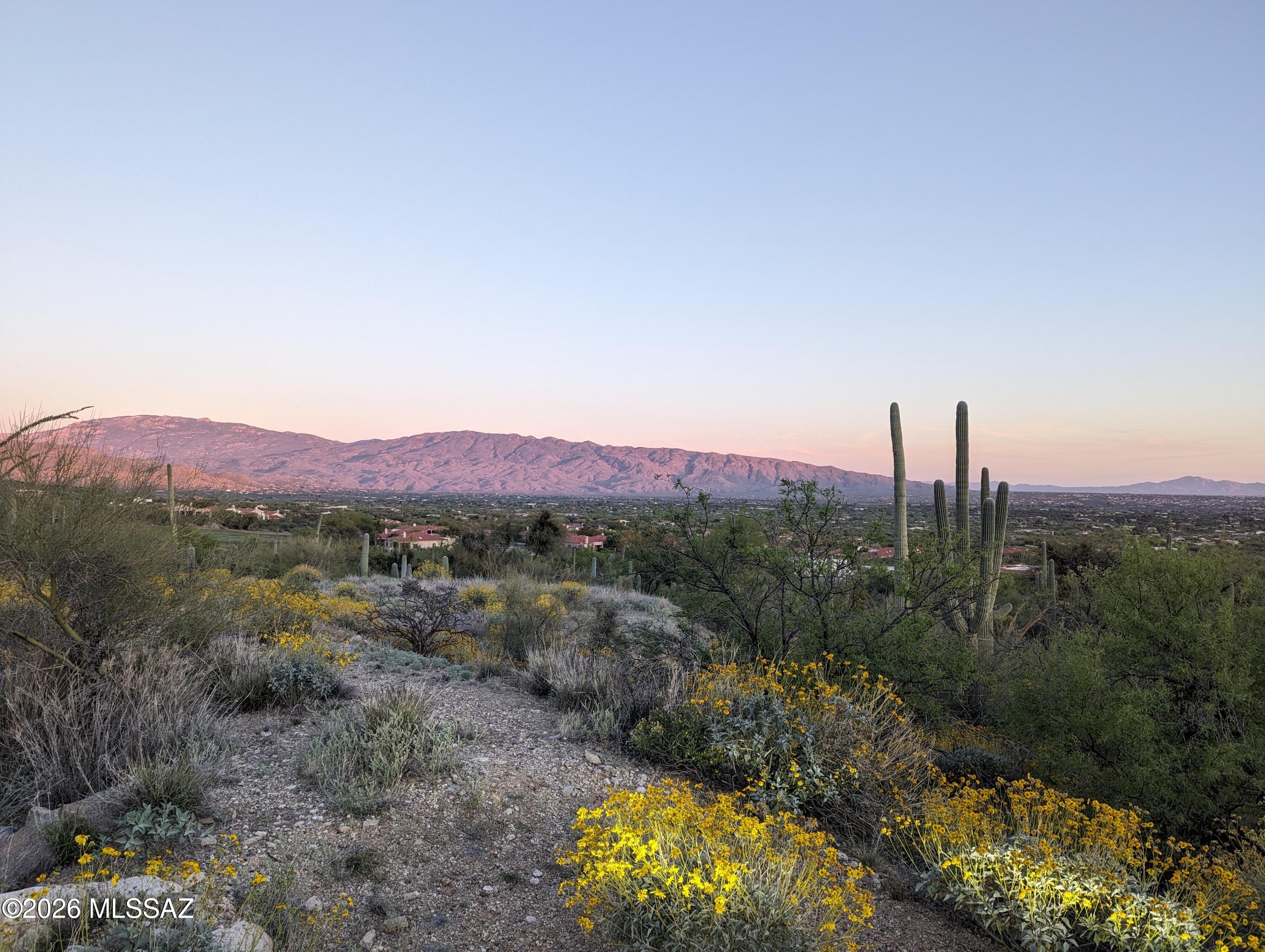 SELLER WILL CARRY! Set within the prestigious, double gated Sabino Estates, this exceptional 0.85 acre homesite offers a rare opportunity to build in one of Tucson's most sought after golf course communities. The lot has been staked and surveyed, with approved HOA site plans already in place, allowing you to move forward with confidence. Sewer is available, with electric and water conveniently located at the lot line.
Adding to the value, Robinette architectural plans are included with the sale, offering a seamless path from vision to construction. The groundwork complete, this property is ready for its next owner.
Perfectly positioned overlooking the 17th tee, the homesite captures sweeping mountain and city views that showcase Tucson's  beauty by day and sparkling lights by night. This is truly a rare opportunity.  Site plans also available.