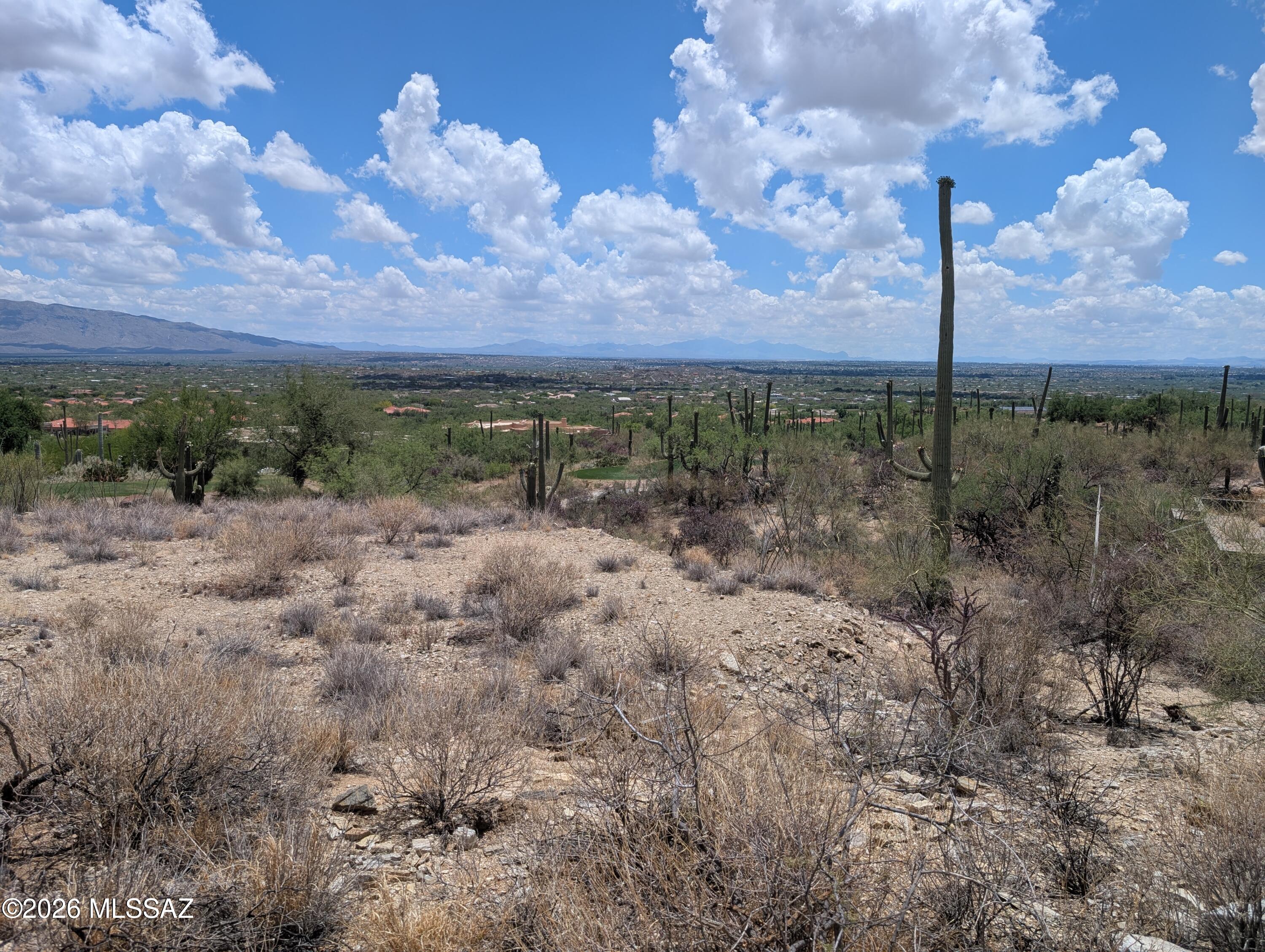 Sabino Estates (1-45) - Land