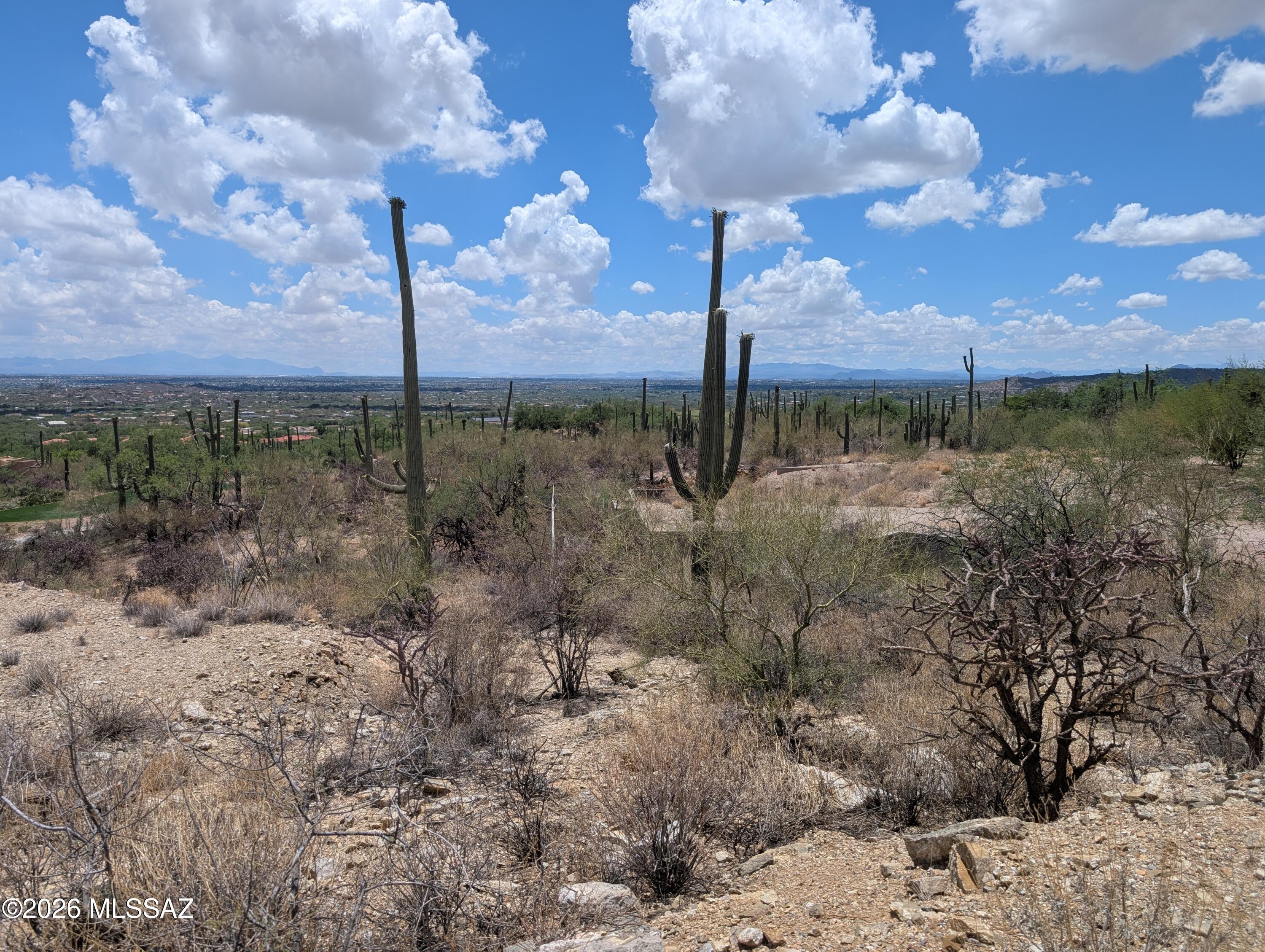 Sabino Estates (1-45) - Land