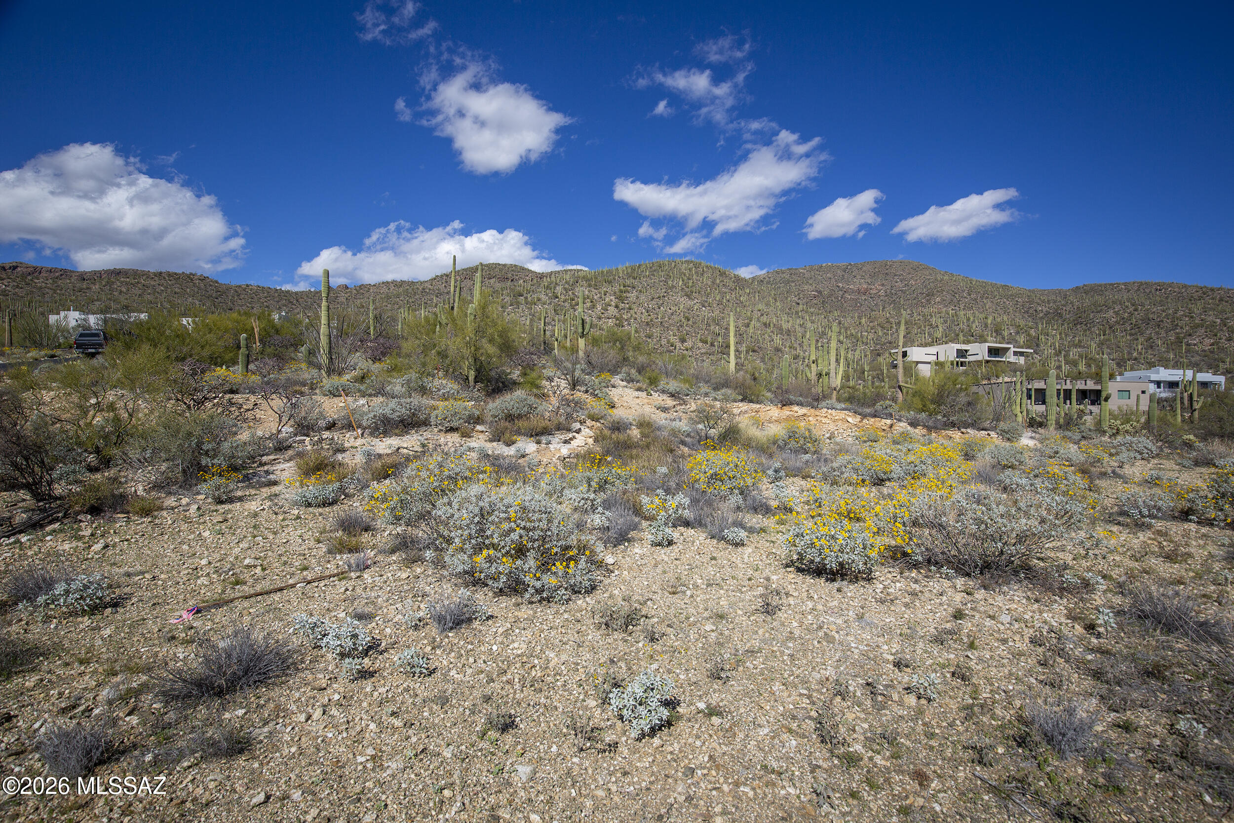 Sabino Estates (1-45) - Land