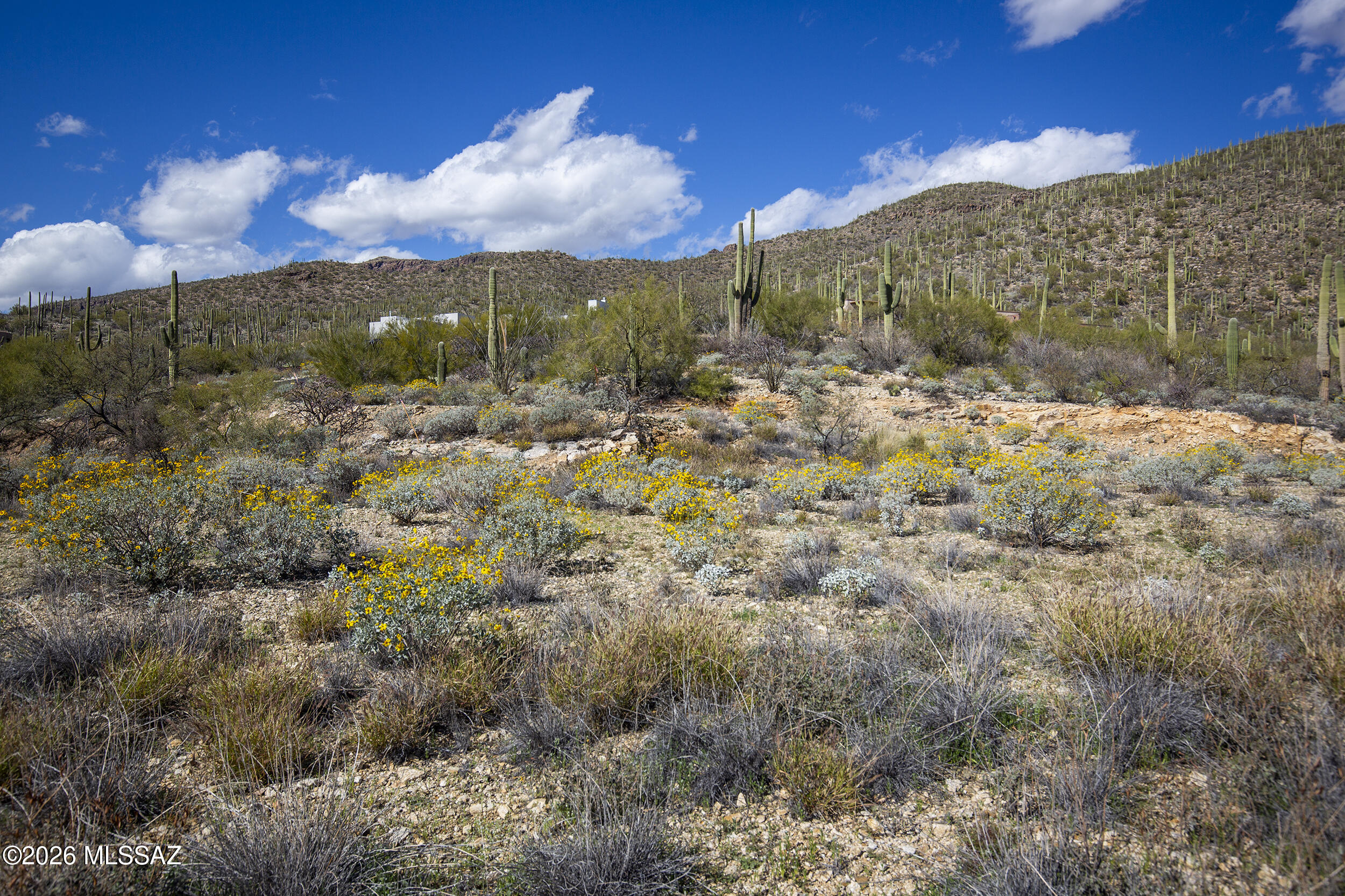 Sabino Estates (1-45) - Land