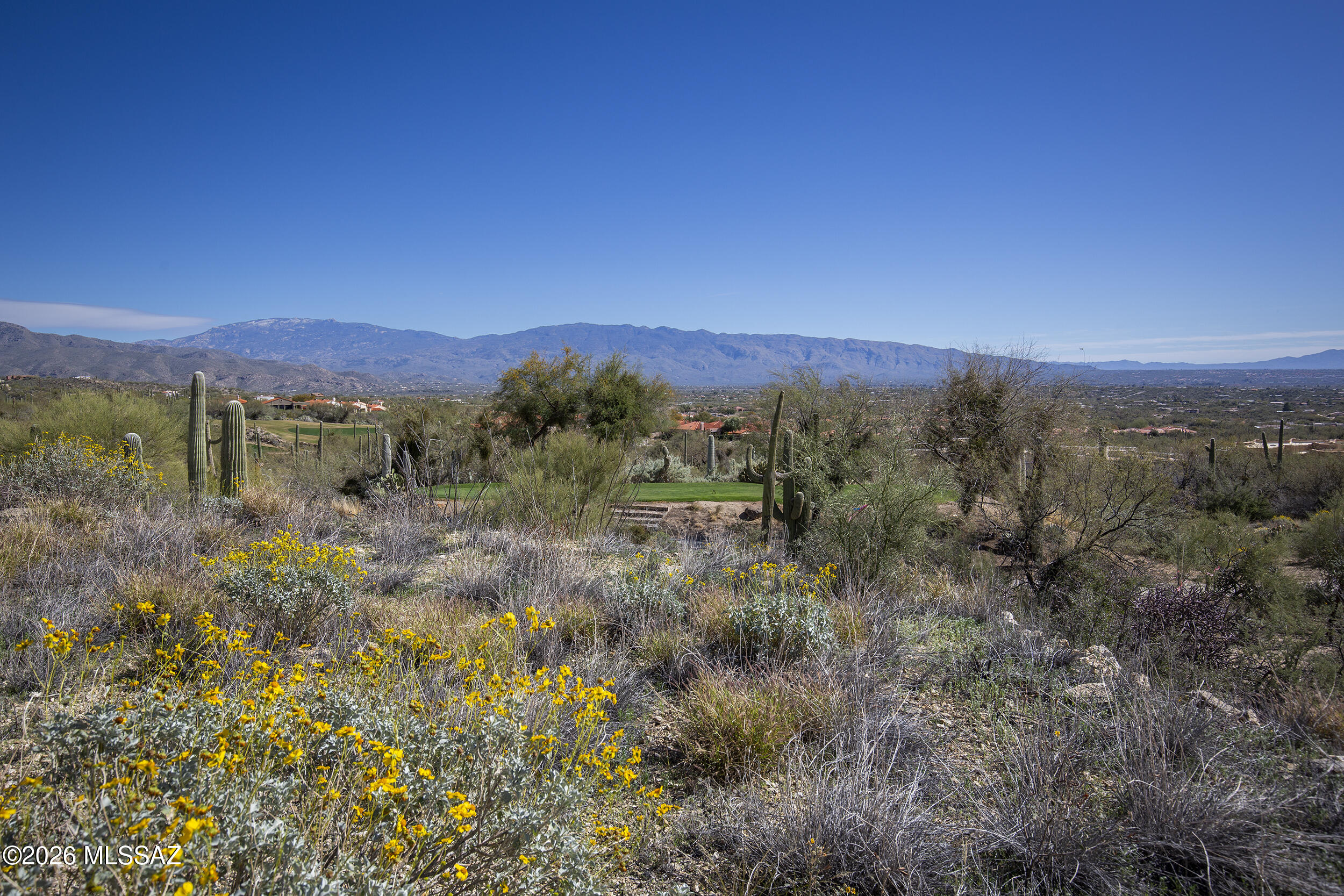 Sabino Estates (1-45) - Land