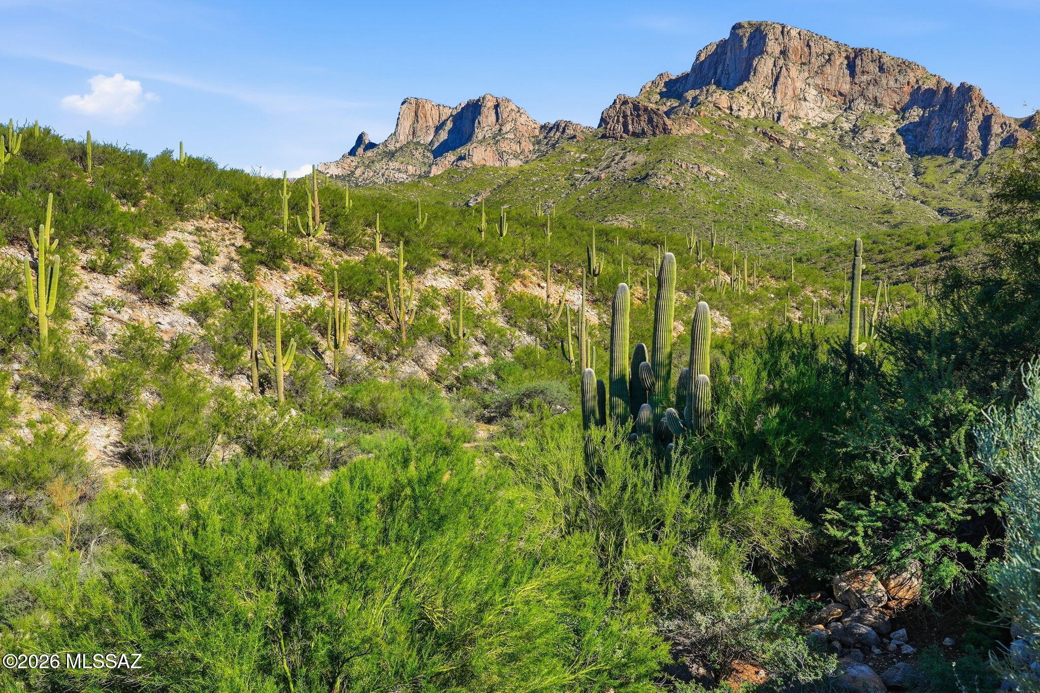 Bighorn Point At La Reserve (1-43) - Residential