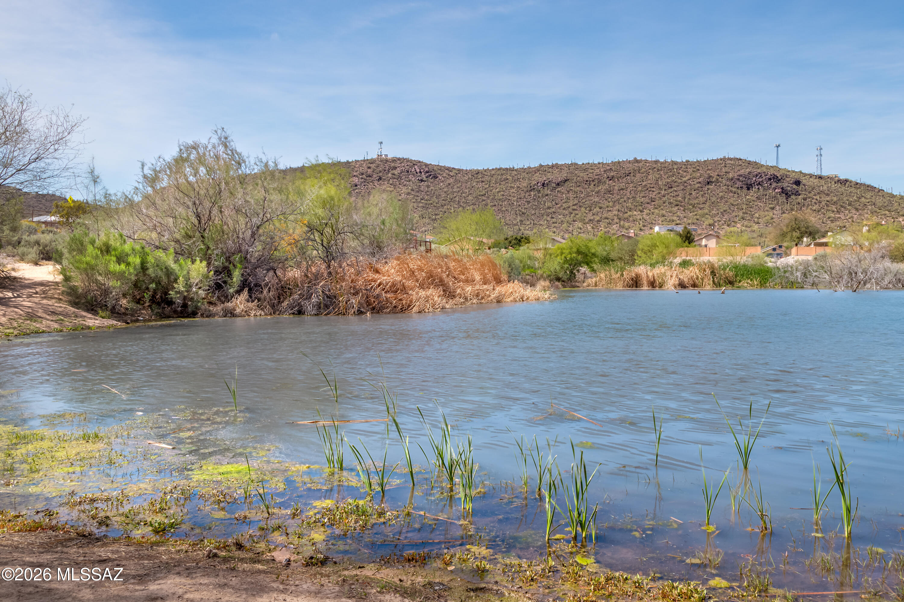 Sonoran Vista@Continental Ranch - Residential