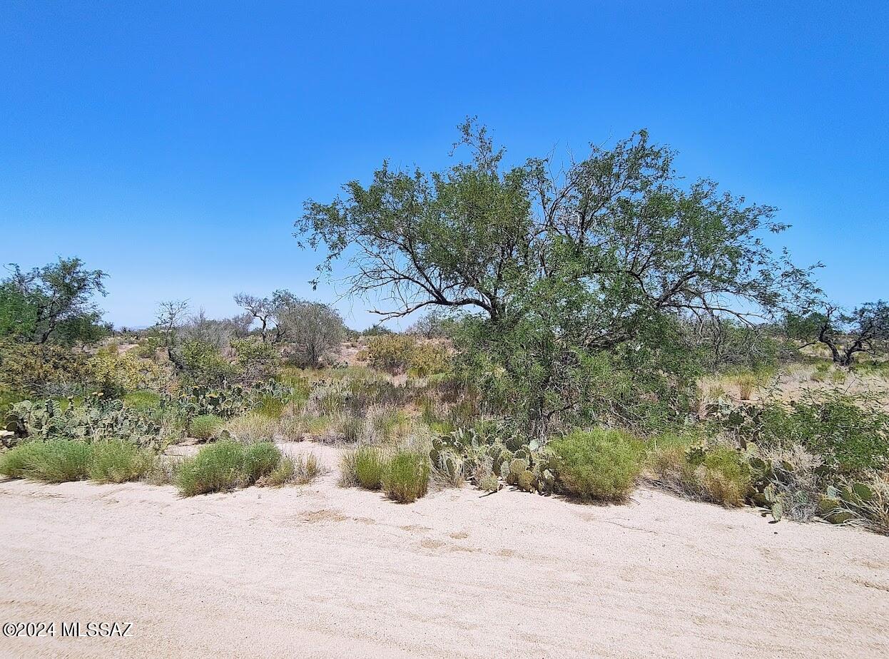 Known for its picturesque views, beautiful sunsets and natural desert wildlife, Diamond Bell Ranch is the perfect place to put down roots! Far enough from the city to feel like country life, but close enough to drive into town for anything you could need. This lot is almost an acre. Just think of the things you could do with it! The same owner owns lot 417 next door - buy both to expand it to a 2-acre lot!