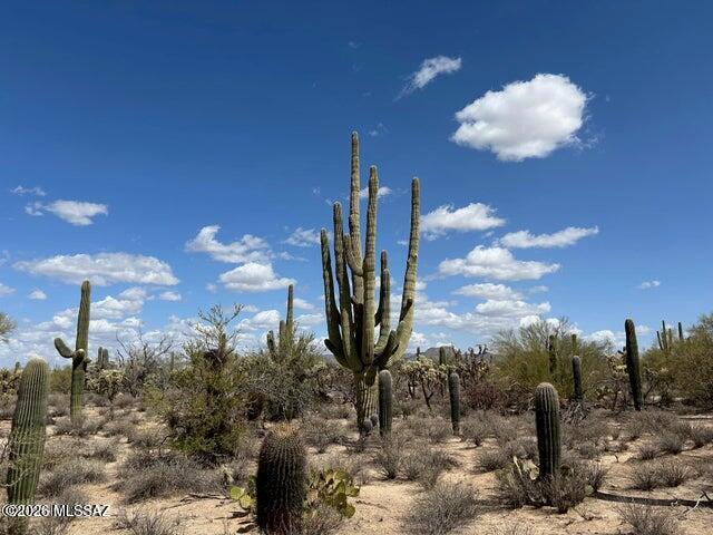 One of 4, SR ZONED, adjoining lots sold Individually or in bulk. ALL LUSHLY VEGETATED, with SAGUAROS, MESQUITES, PALO VERDES, etc. Level, easy building conditions and BIG VIEWS of the TORTOLITAS and CATALINAS from each. New SHARED WELL, electric and phone will serve the sites. Many newer homes and private ranches in the immediate area. Quiet, RURAL FEEL yet convenient to I-10, DOVE MOUNTAIN and ORO VALLEY. Affordably priced  from $187,000- $199,000. See Documents for maps, plats, well information, etc. Walk to pink flagging in the center of the lot for excellent home site location.  EZ to show or call LA to meet.