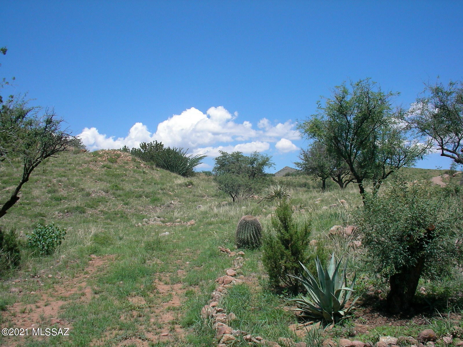 Salero Ranch - Land